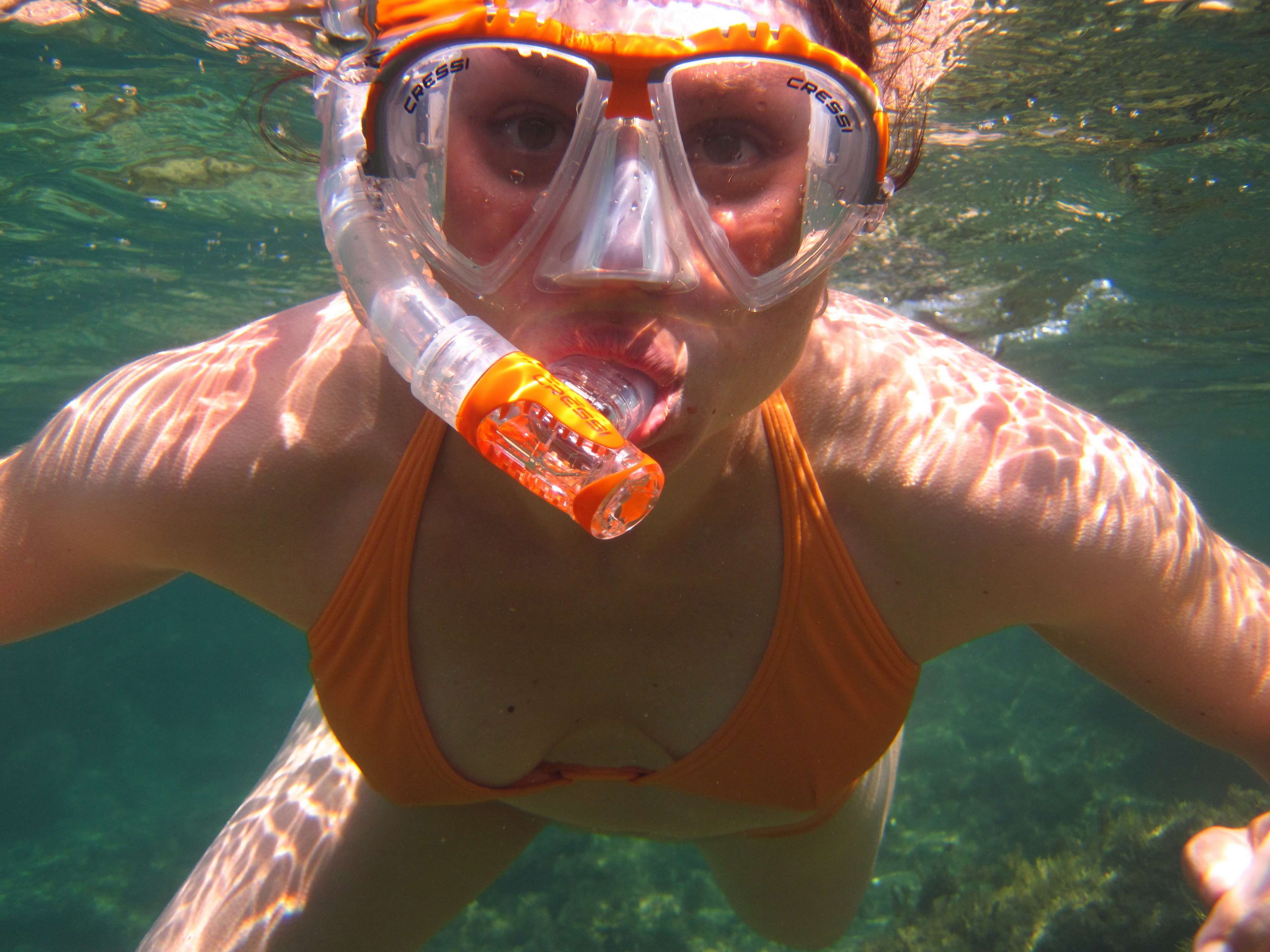 front view, adventure, snorkeling, diving, animal wildlife, sea, leisure activity, fun, face, undersea, portrait, person, day, sunlight, marine, animals in the wild, HD Wallpaper