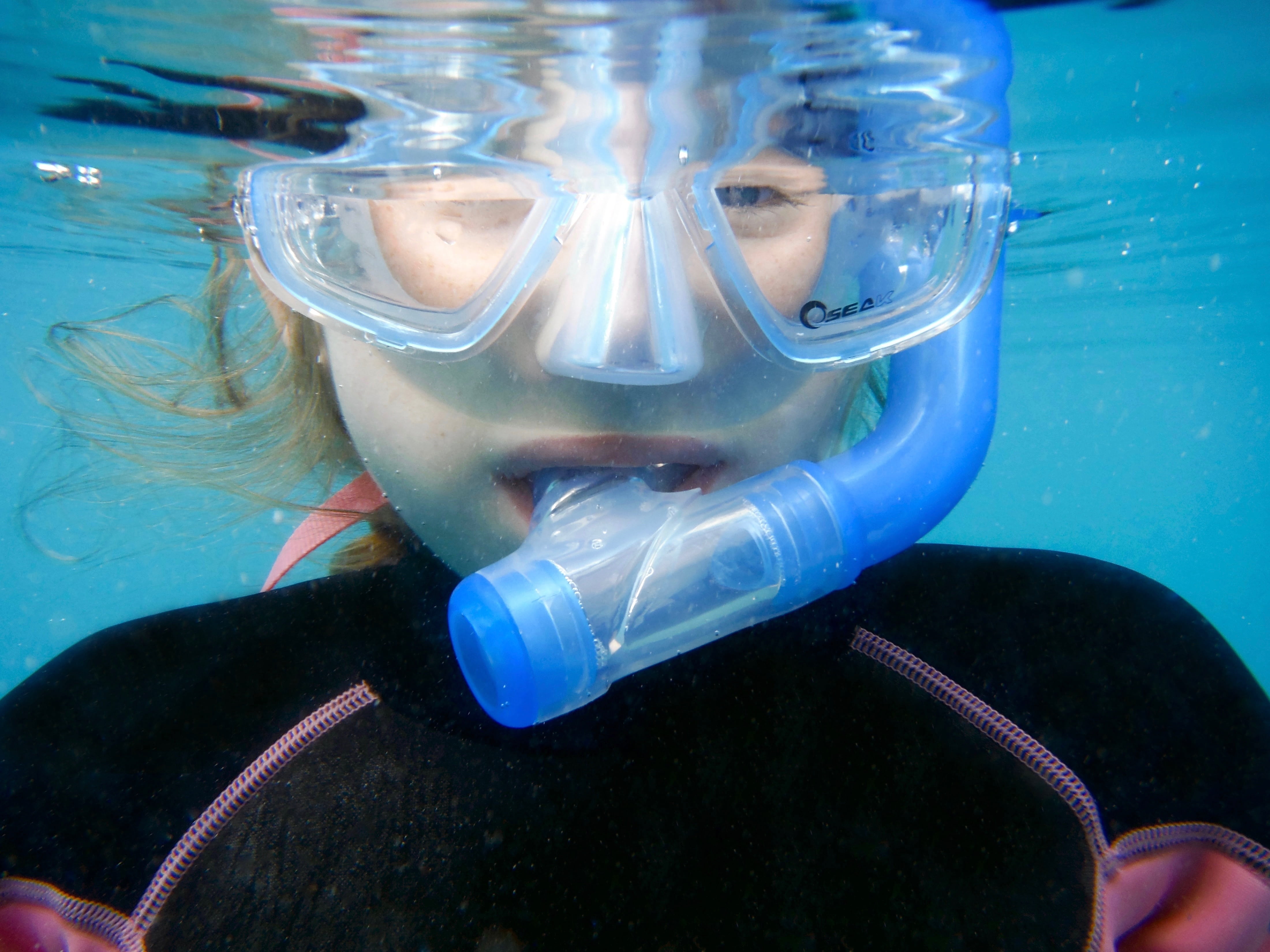 snorkeling, one person, animal wildlife, undersea, swimming pool, adventure, sport, sea, aquatic sport, summer, nature, swimming, holiday, underwater diving, HD Wallpaper
