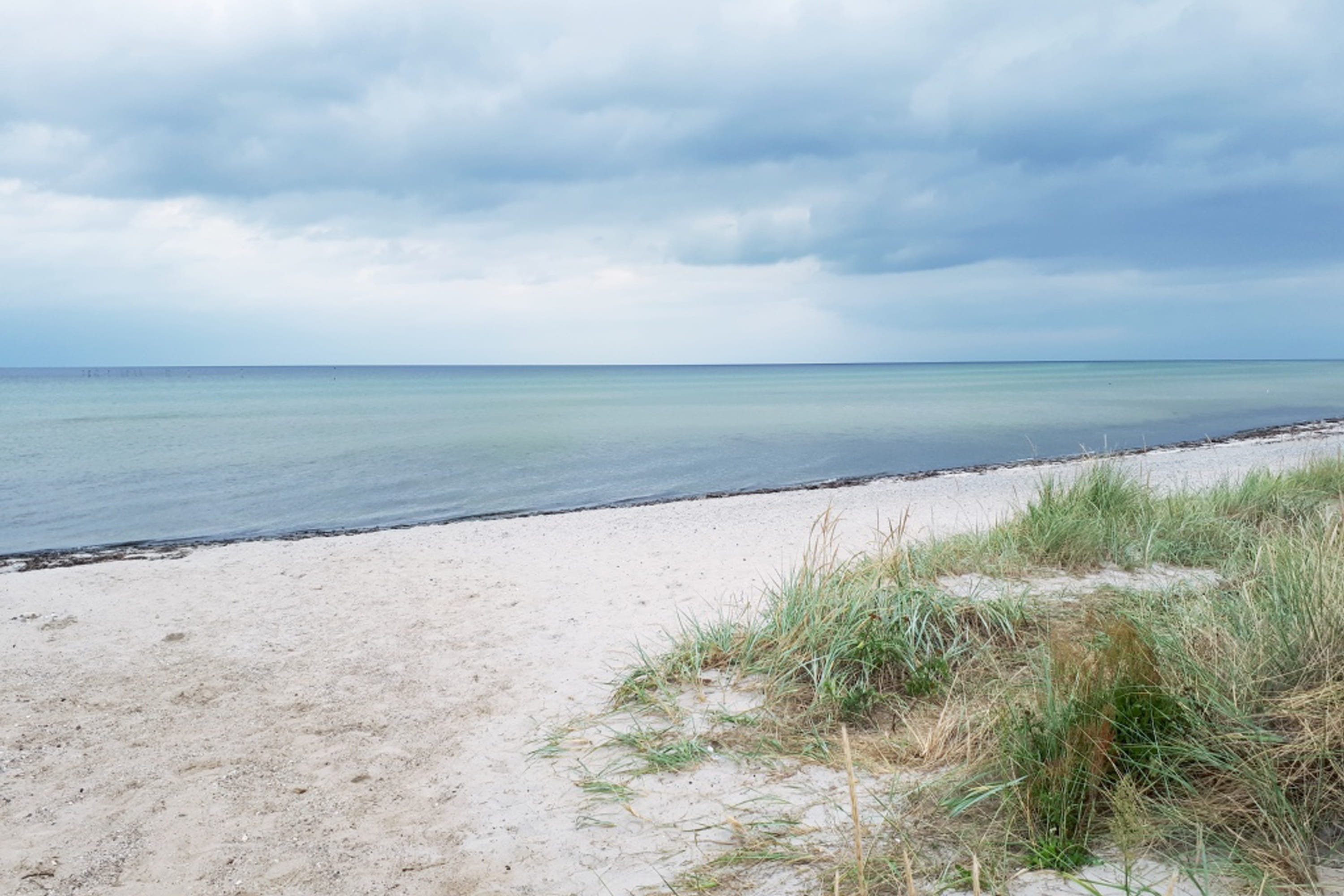beauty in nature, plant, marram grass, water, 2K, non-urban scene, tranquility, land, sand, no people, day, grass, beach, baltic sea, horizon, scenics - nature, HD Wallpaper