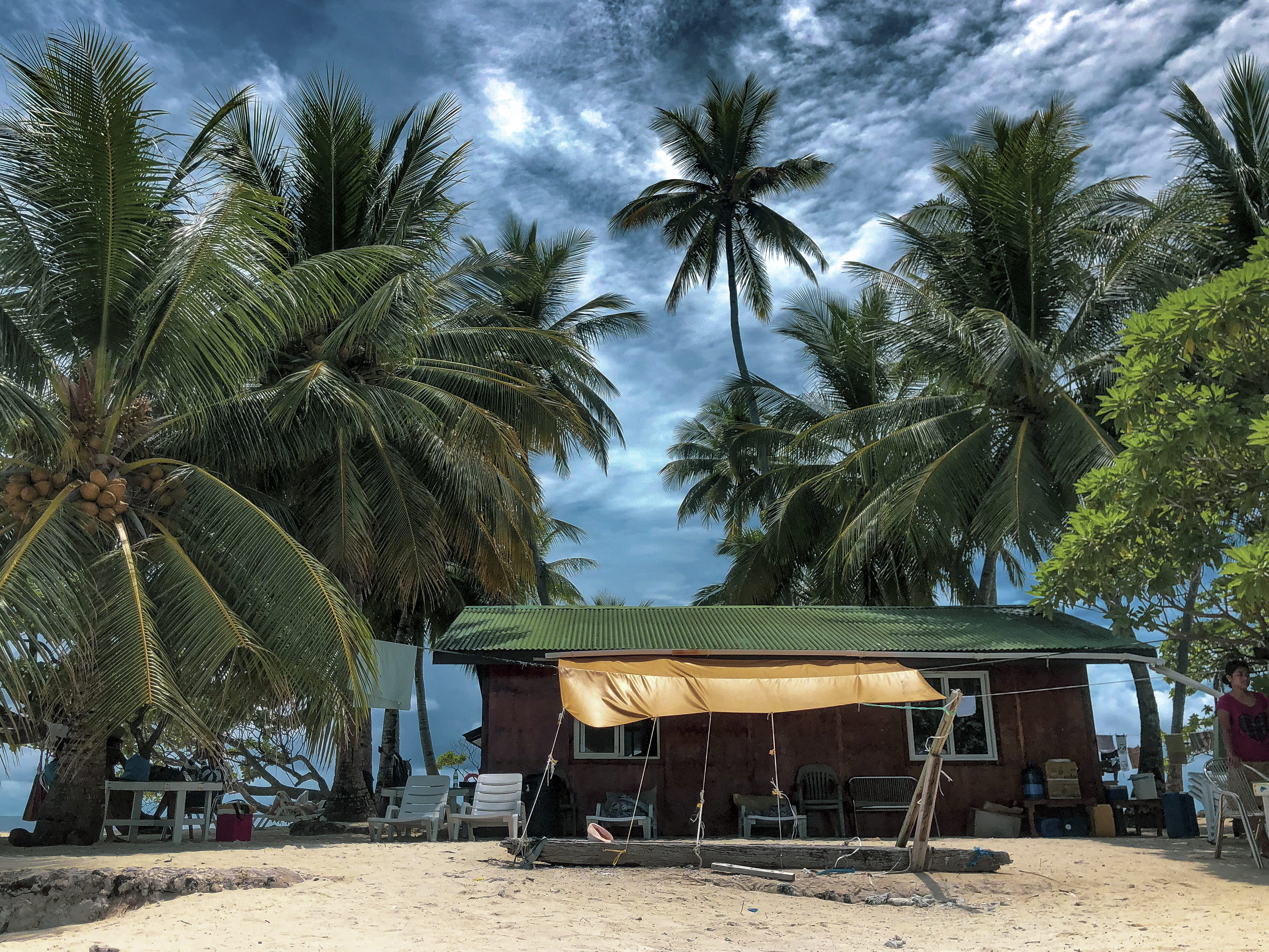 rural, palm tree, beauty in nature, shelter, tree, surrounded, person, summer, chuuk lagoon, green color, weno, building, human, palm, house, real people, HD Wallpaper