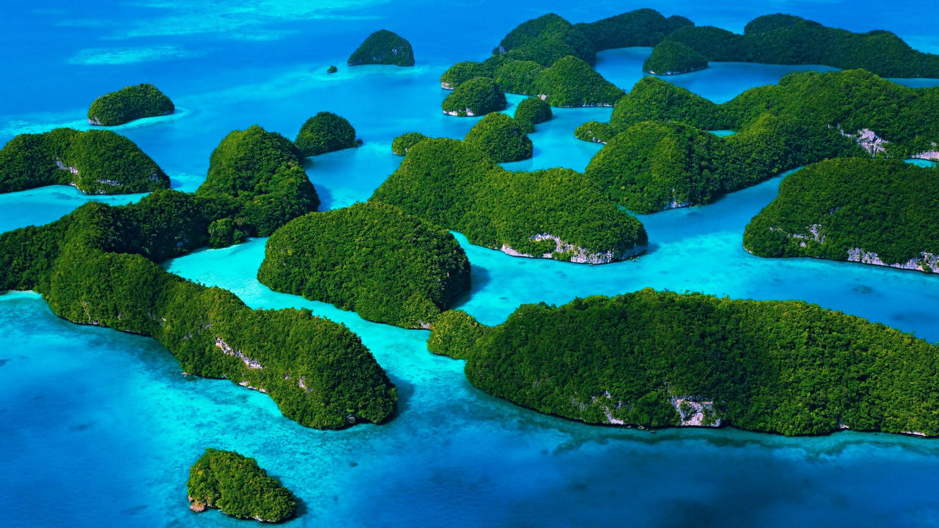 Palau, limestone, 1080P, sea, trees, island, HD Wallpaper