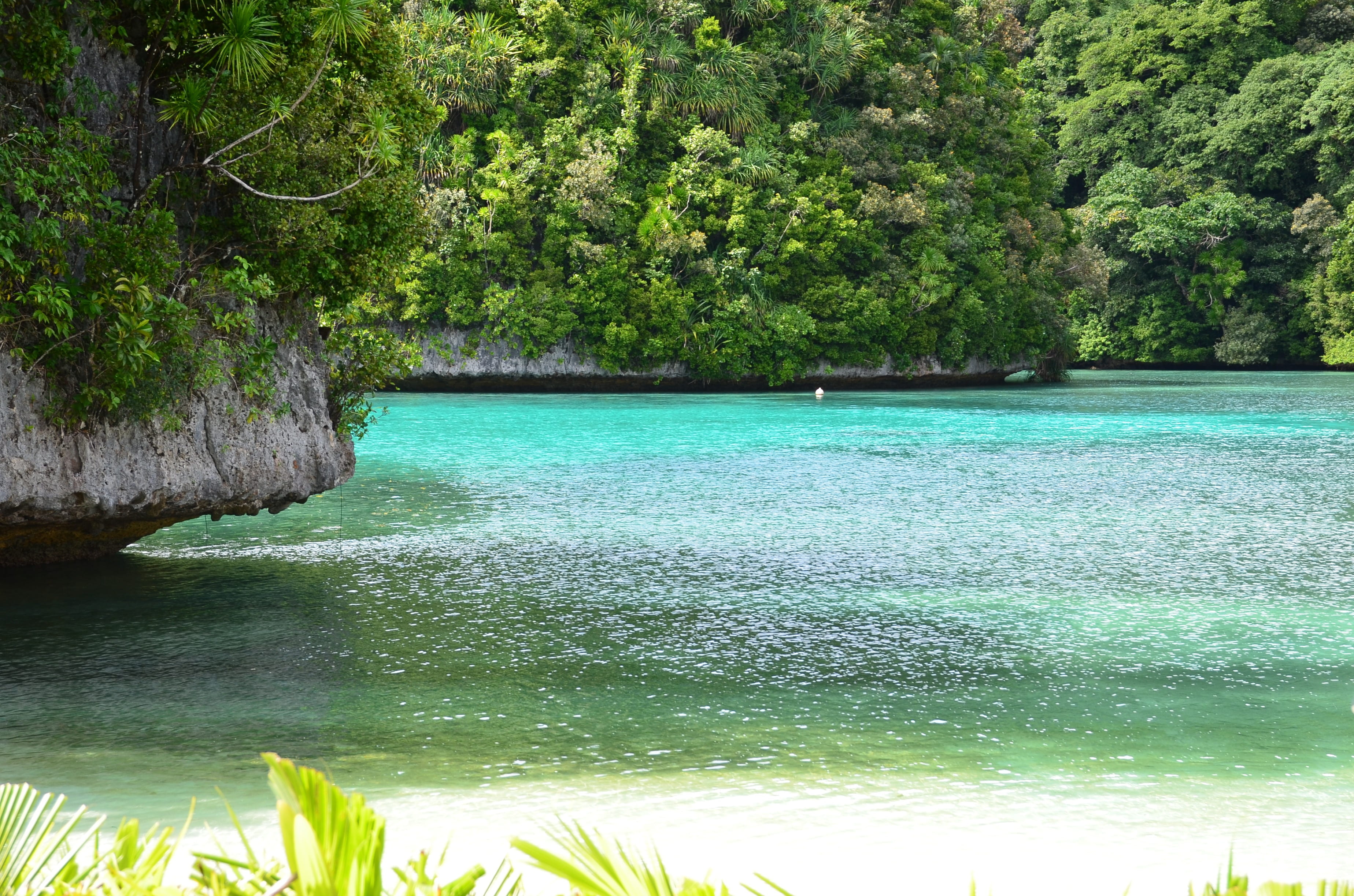 body, outdoors, turquoise colored, coast, coastline, non-urban scene, leisure, vacation, lake, tranquil, island, flowing water, exotic, idyllic, forest, HD Wallpaper
