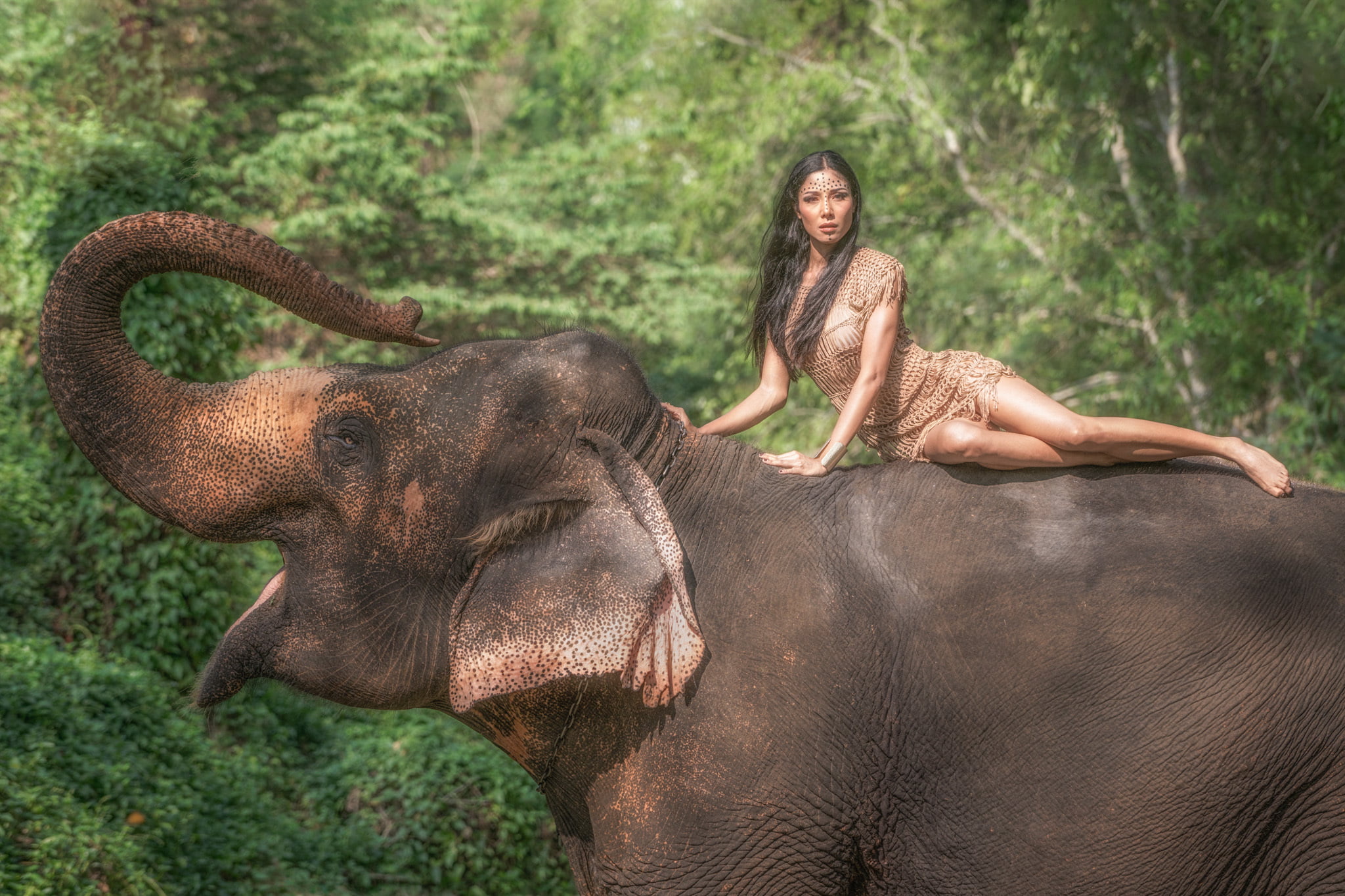 face, outdoors, elephant, 1080P, females, beautiful people, land, nature, animal body part, riding, girl, positive emotion, animal wildlife, trunk, tree, HD Wallpaper