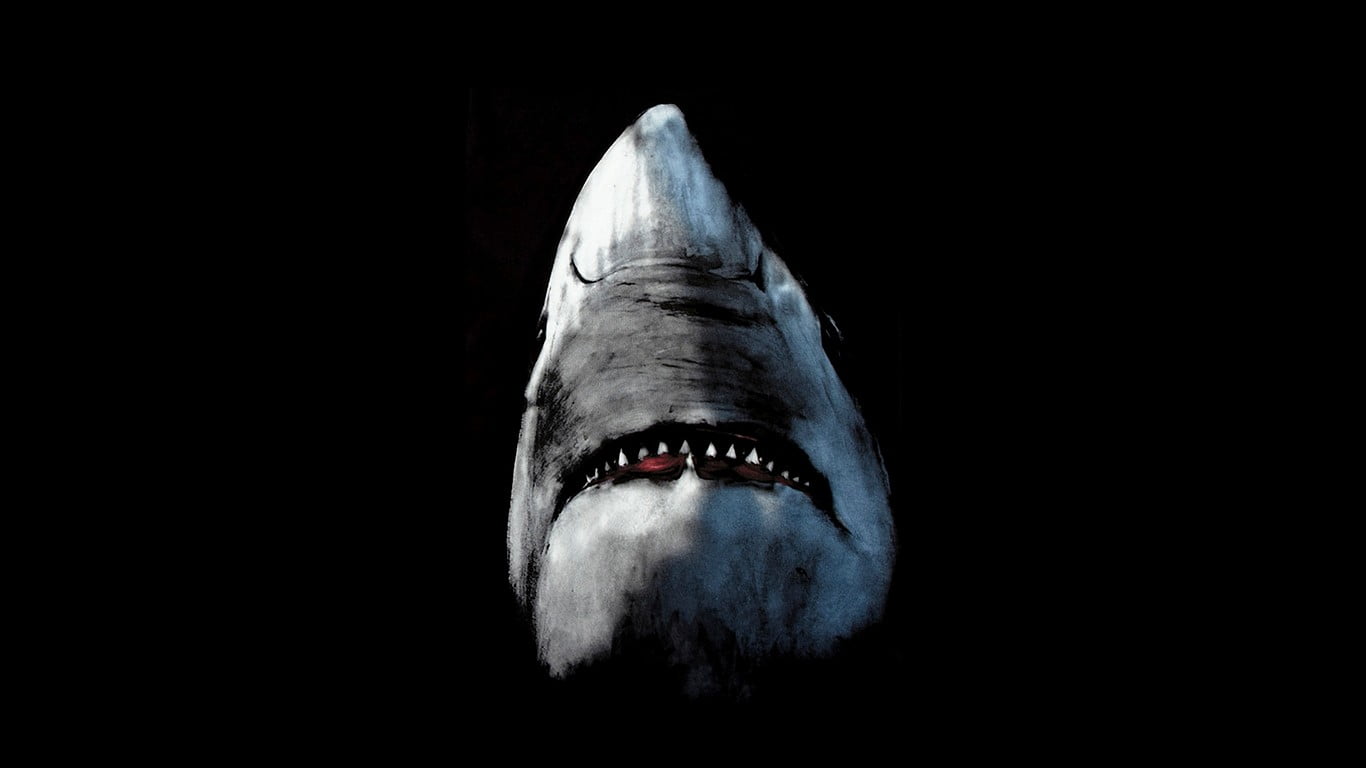 headshot, indoors, front view, obscured face, aggression, artwork, fear, portrait, white, studio shot, one person, black background, one animal, HD Wallpaper