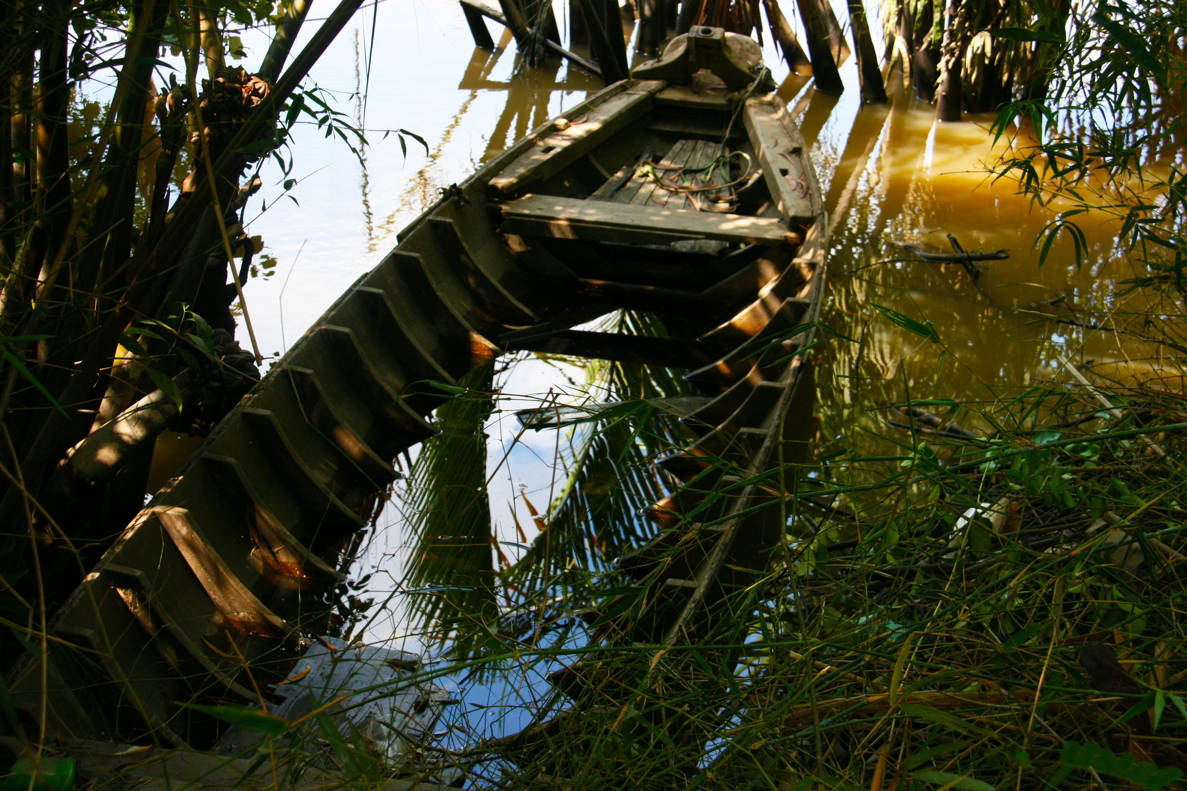 danger, forrest, no people, reflection, abandoned, lake, leaf, damaged, nature, coast, river, ruin, plant, bridge - man made structure, amazon, shipwreck, HD Wallpaper