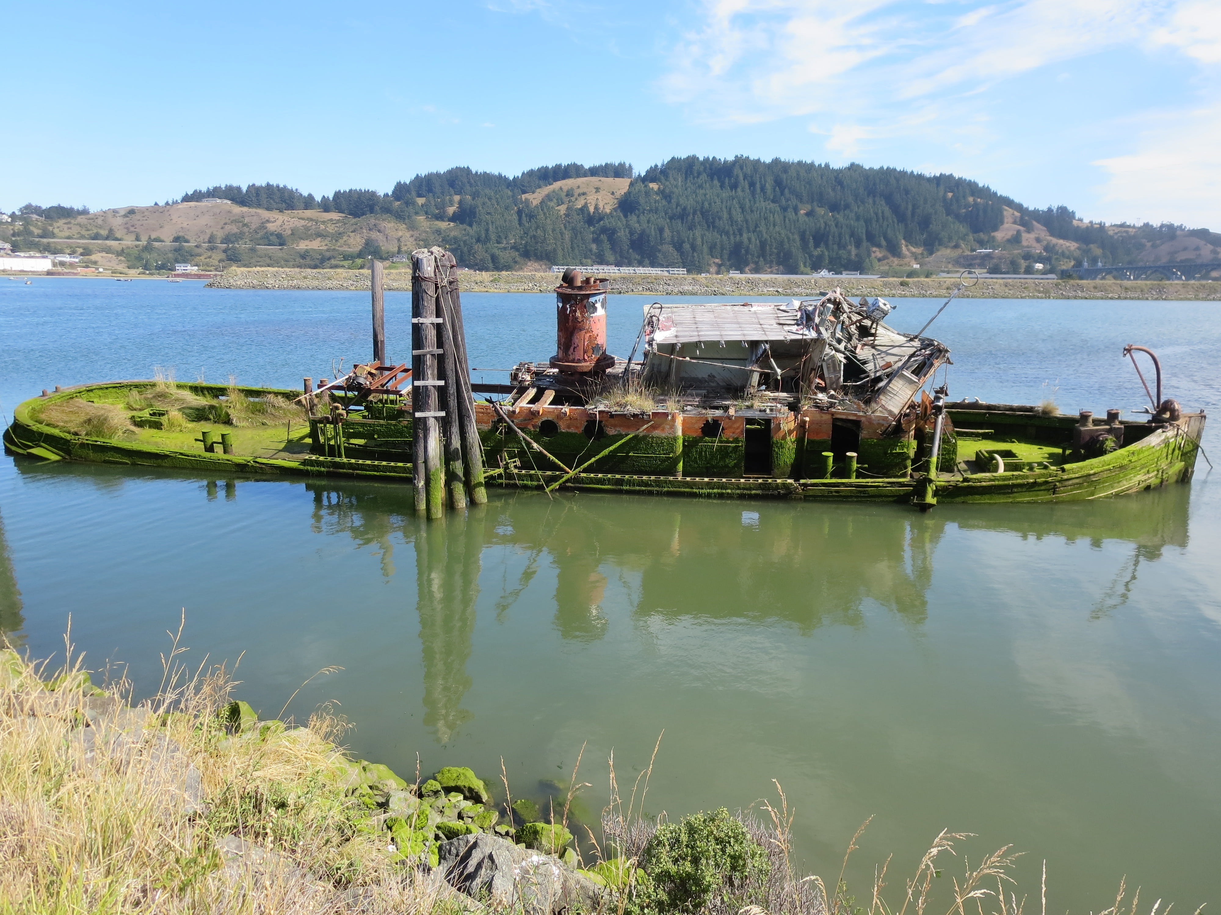 decline, usa, america, sky, northwest, grass, obsolete, old boat, deterioration, architecture, ship, pacific, day, oregon, outdoors, ocean, abandoned, ruined, HD Wallpaper