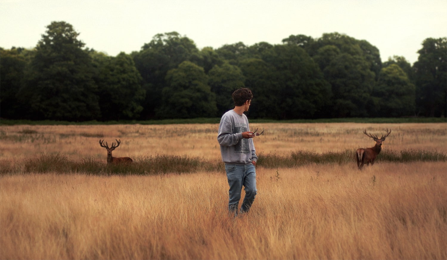 outdoors, men, field, animals, 720P, dry grass, deer, HD Wallpaper