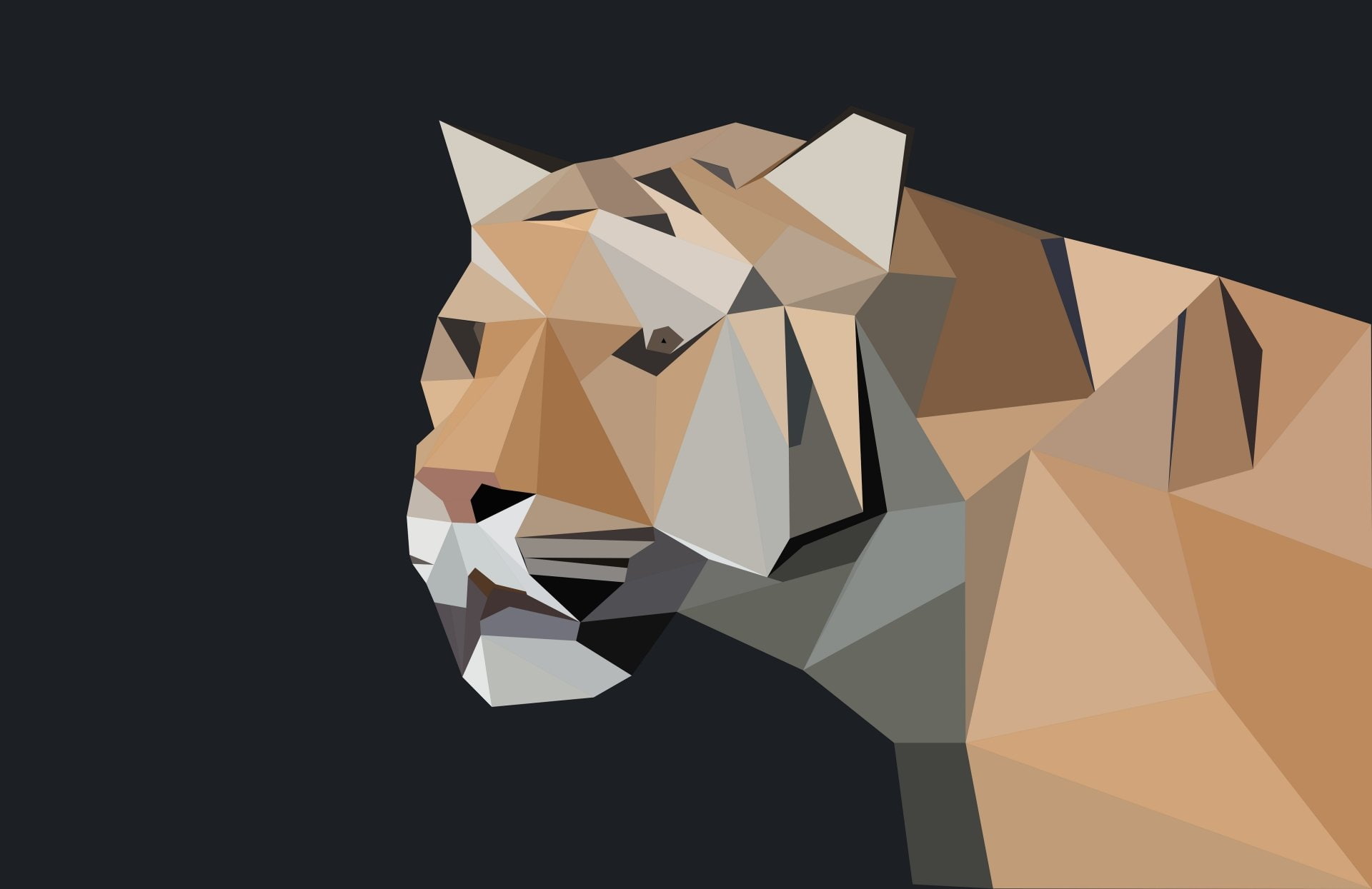 Polygon, Low Poly, 1080P, Abstract, Facets, Tiger, Animal, HD Wallpaper
