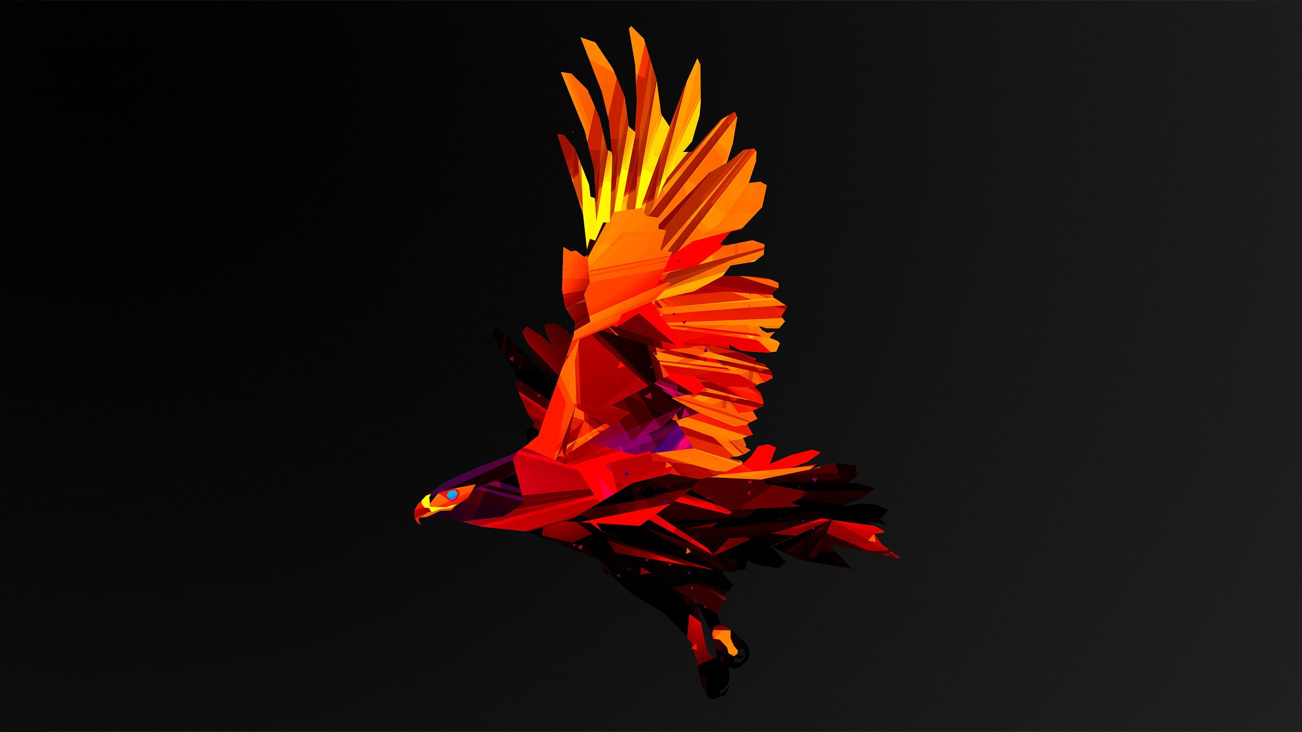 studio shot, copy space, nature, 2K, Facets, flowering plant, fragility, multi colored, digital art, creativity, motion, red, black background, close-up, HD Wallpaper
