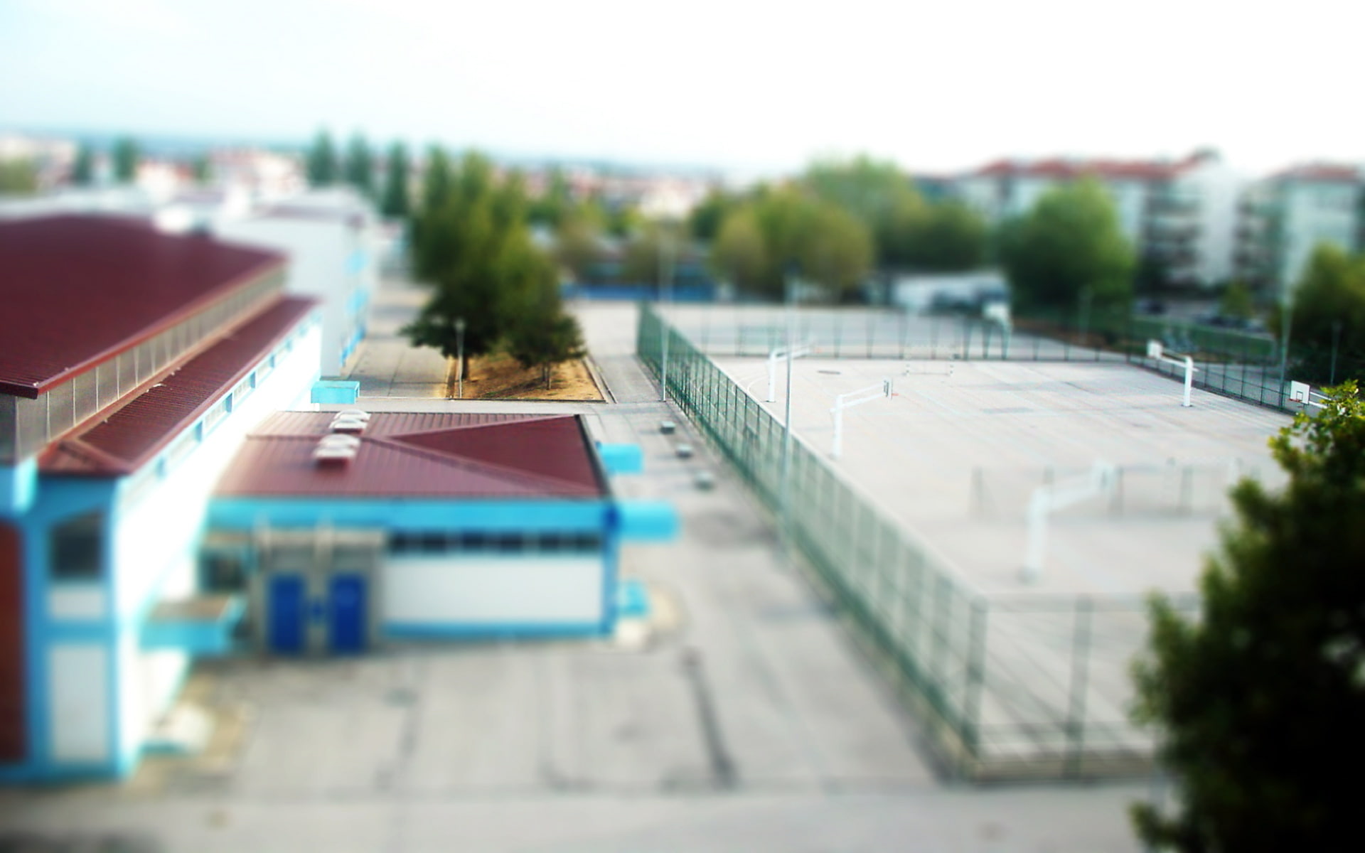 architecture, tree, street, house, high angle view, tilt-shift, roof, transportation, built structure, school, nature, 1080P, plant, selective focus, outdoors, HD Wallpaper
