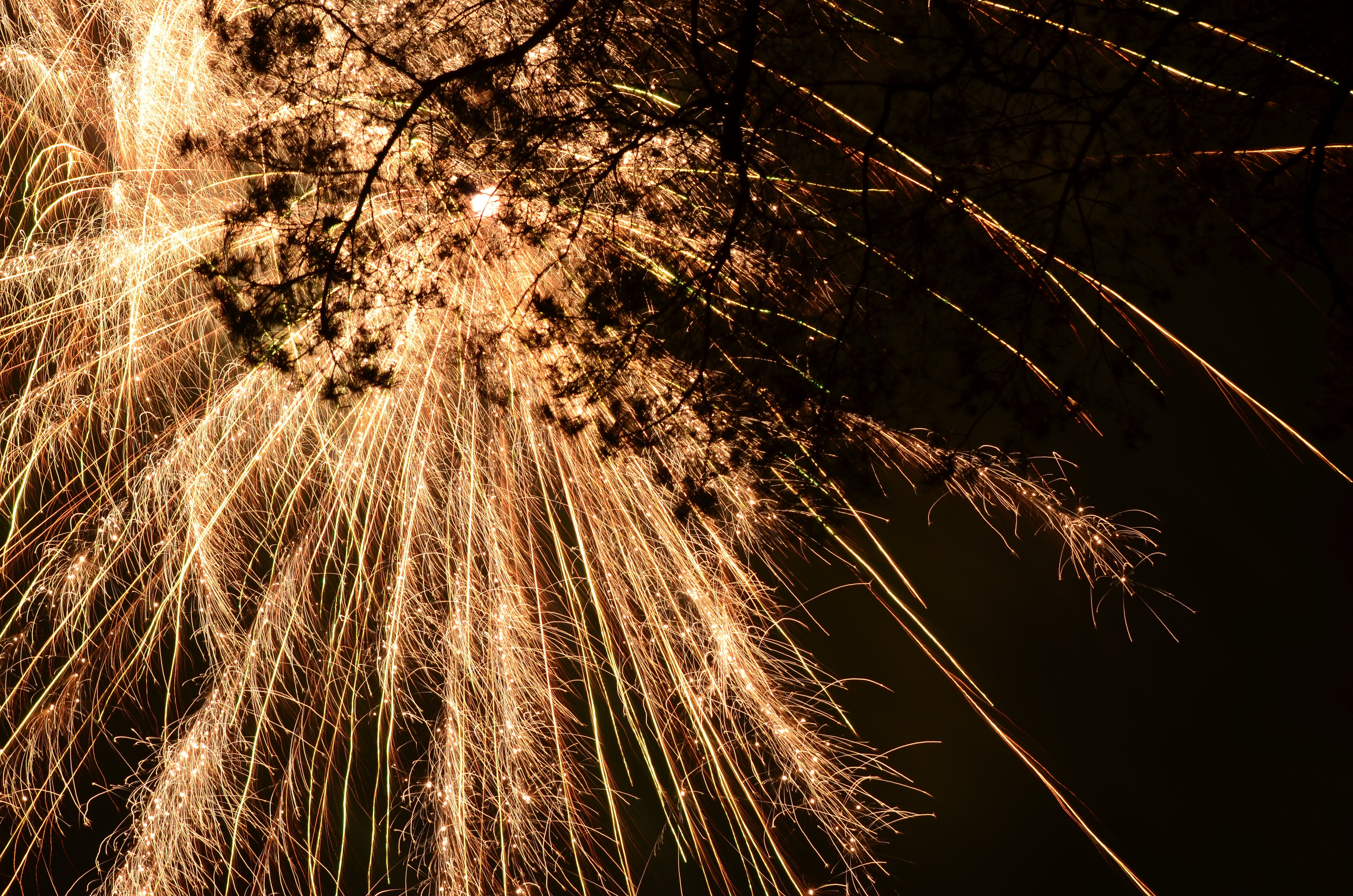 low angle view, illuminated, silhouette, light, nature, new years eve, close-up, firework - man made object, rocket, branch, no people, beauty in nature, HD Wallpaper