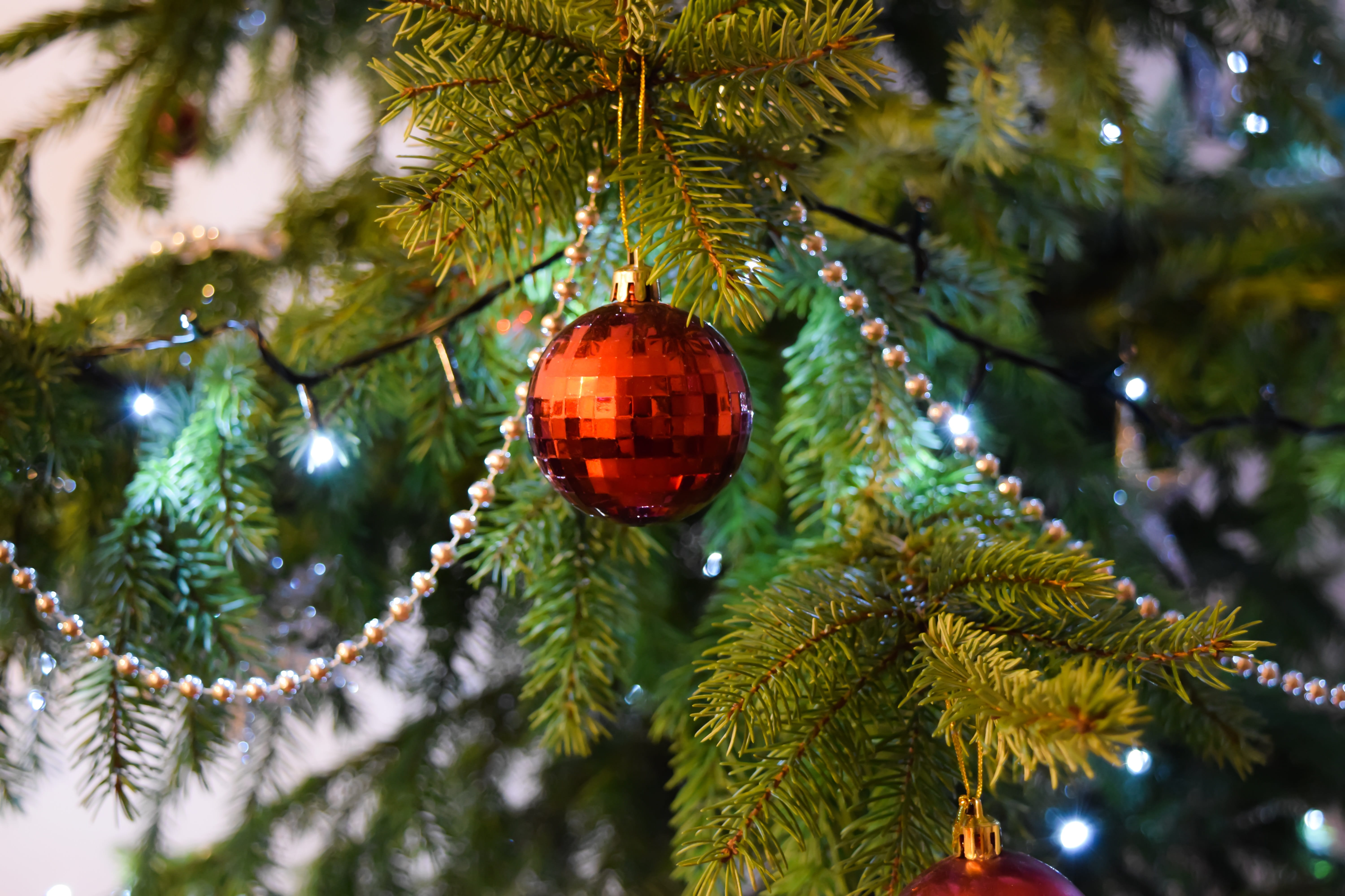 illuminated, ornament, hanging, christmas ornament, fir tree, december, close-up, tree, hang, xmas, green color, lights, focus on foreground, holiday, no people, HD Wallpaper