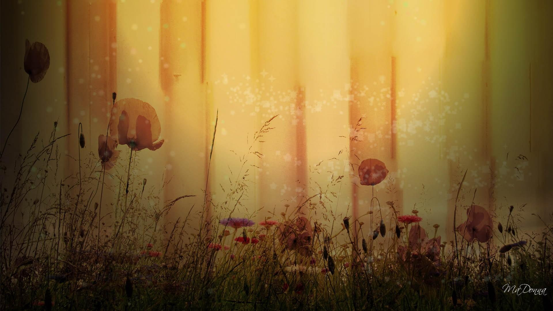 1080P, building, poppies, wall, vintage, 3d and abstract, poppy, firefox persona, antique, flowers, HD Wallpaper