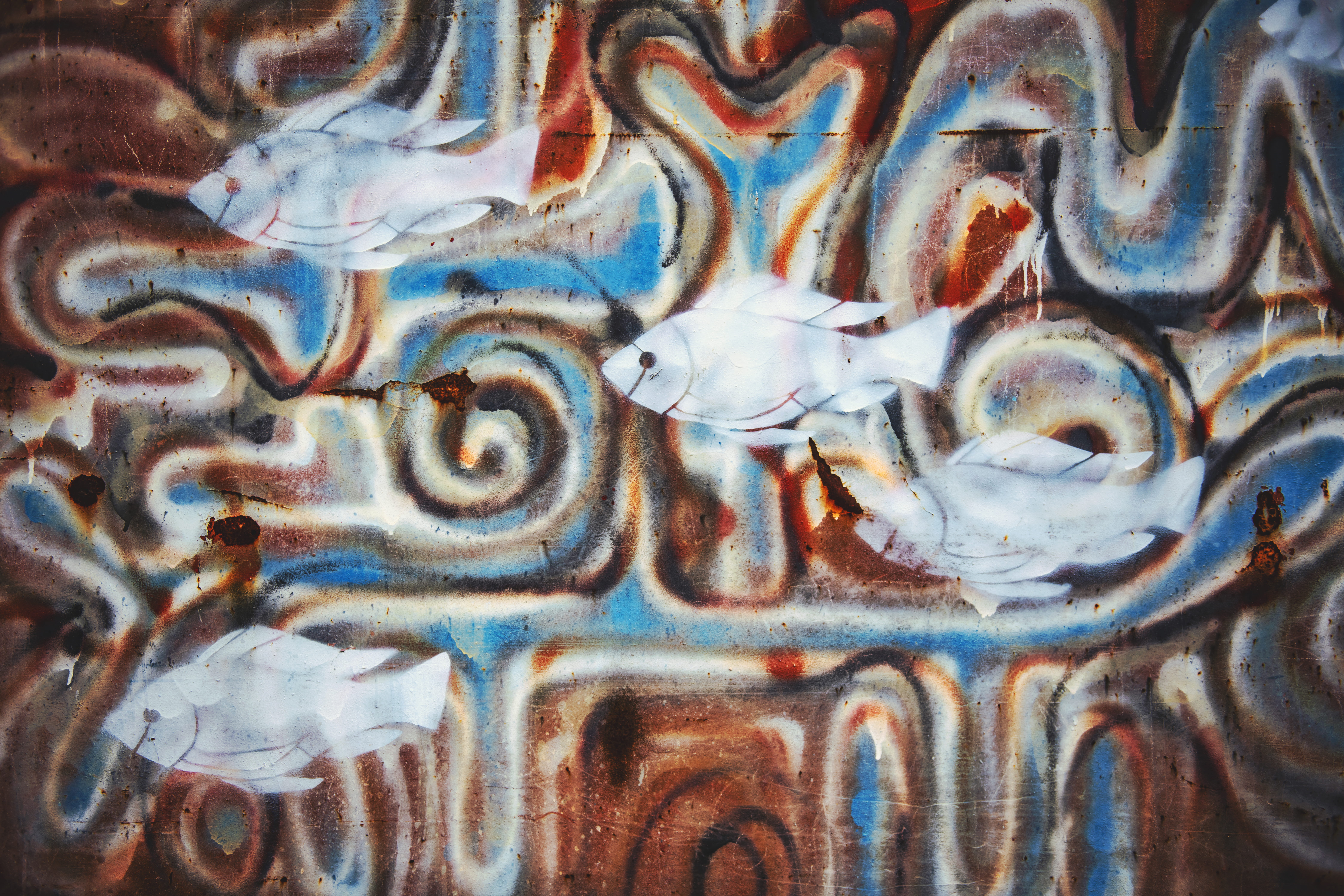mural, paintings, street, close-up, creative, art, painting, art and craft, indoors, colorful, modern art, food and drink, pattern, fishes, wall art, artistic, HD Wallpaper