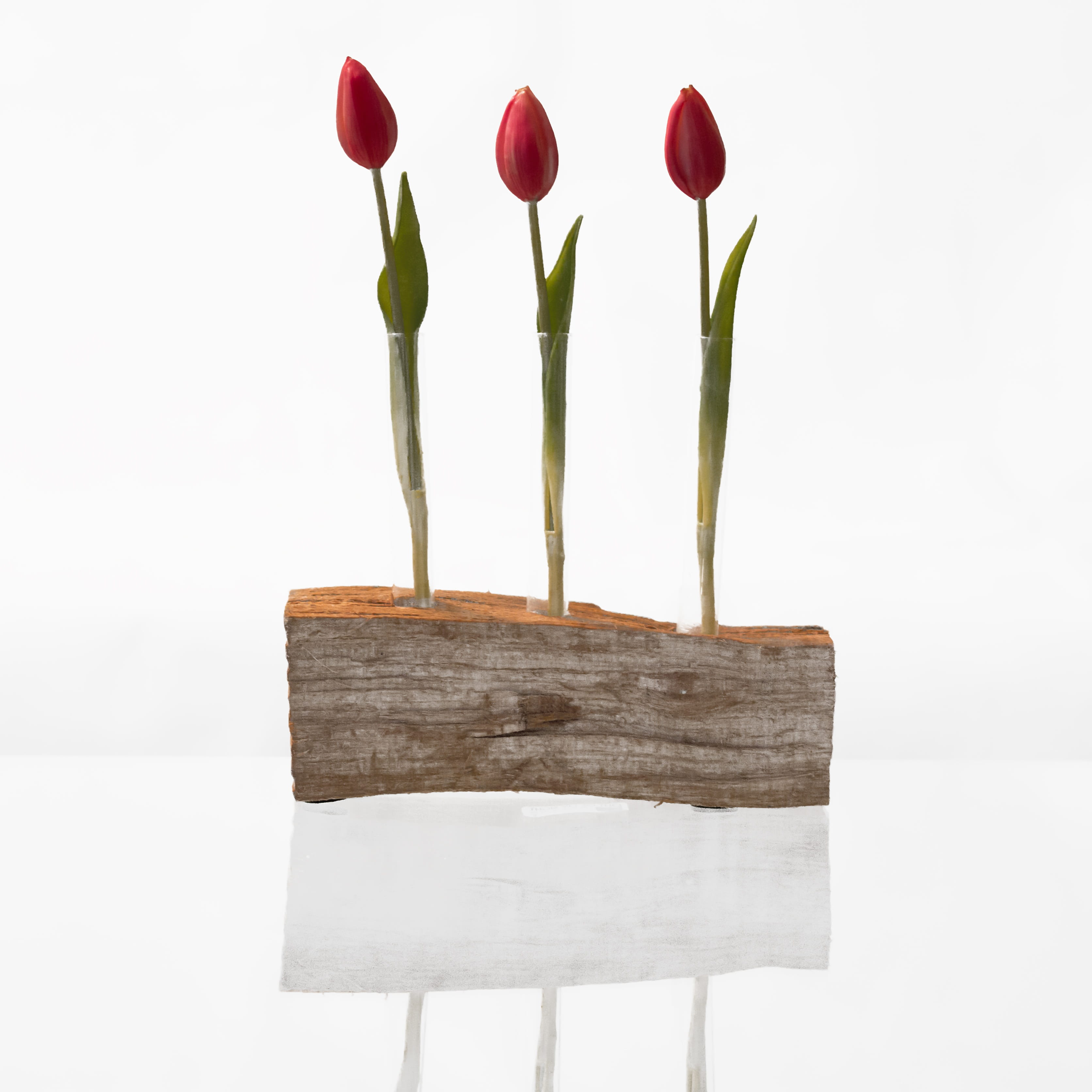 romance, no people, shell, isolated, bouquet, cut out, indoors, red, floral, love, colorful, plant, 2K, leaf, beauty in nature, copy space, still life, Phone HD Wallpaper