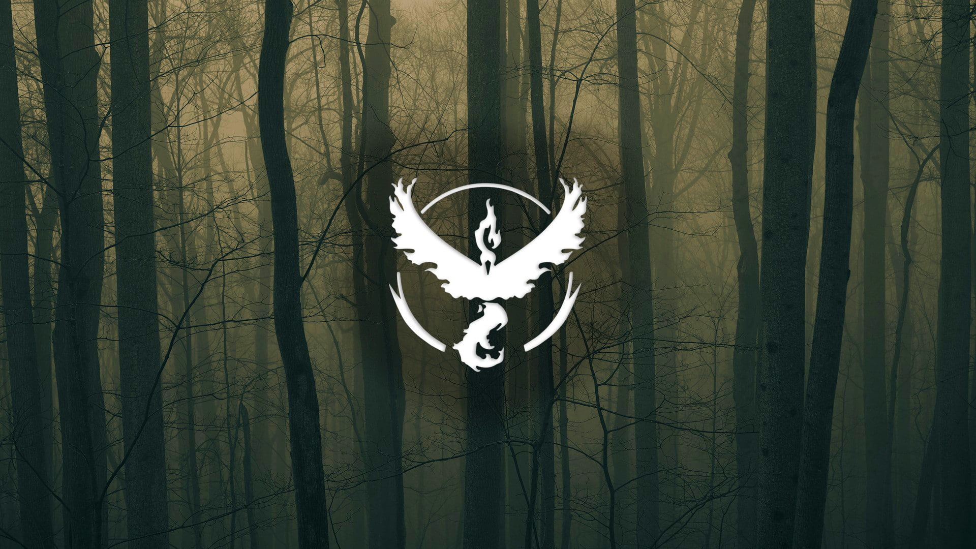 Team Valor, white, 1080P, Trees, pokemon, HD Wallpaper