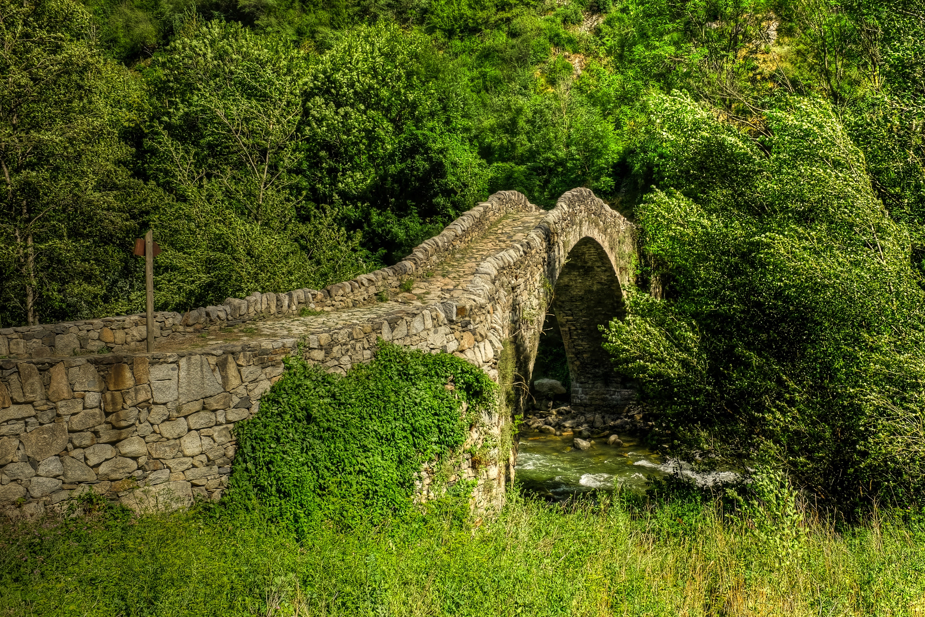 tree, nature, old, body, andorra, architecture, stone wall, water, day, history, land, wall, 2K, bridge - man made structure, medieval bridge, no people, HD Wallpaper