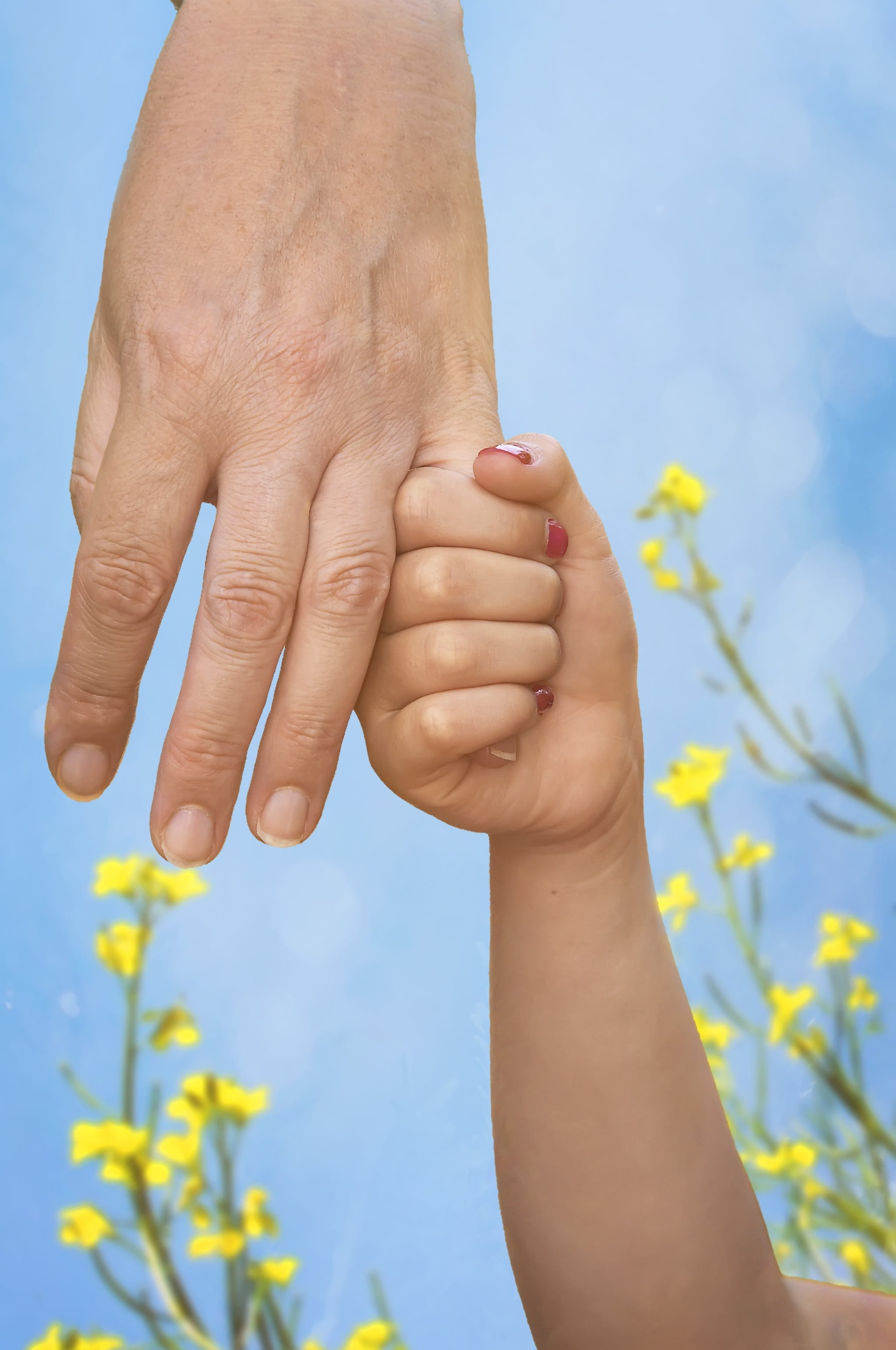 childhood, mama, flower, finger, human body part, human hand, body part, real people, nature, mother, men, love, young, tenderness, flowering plant, affection, Phone HD Wallpaper