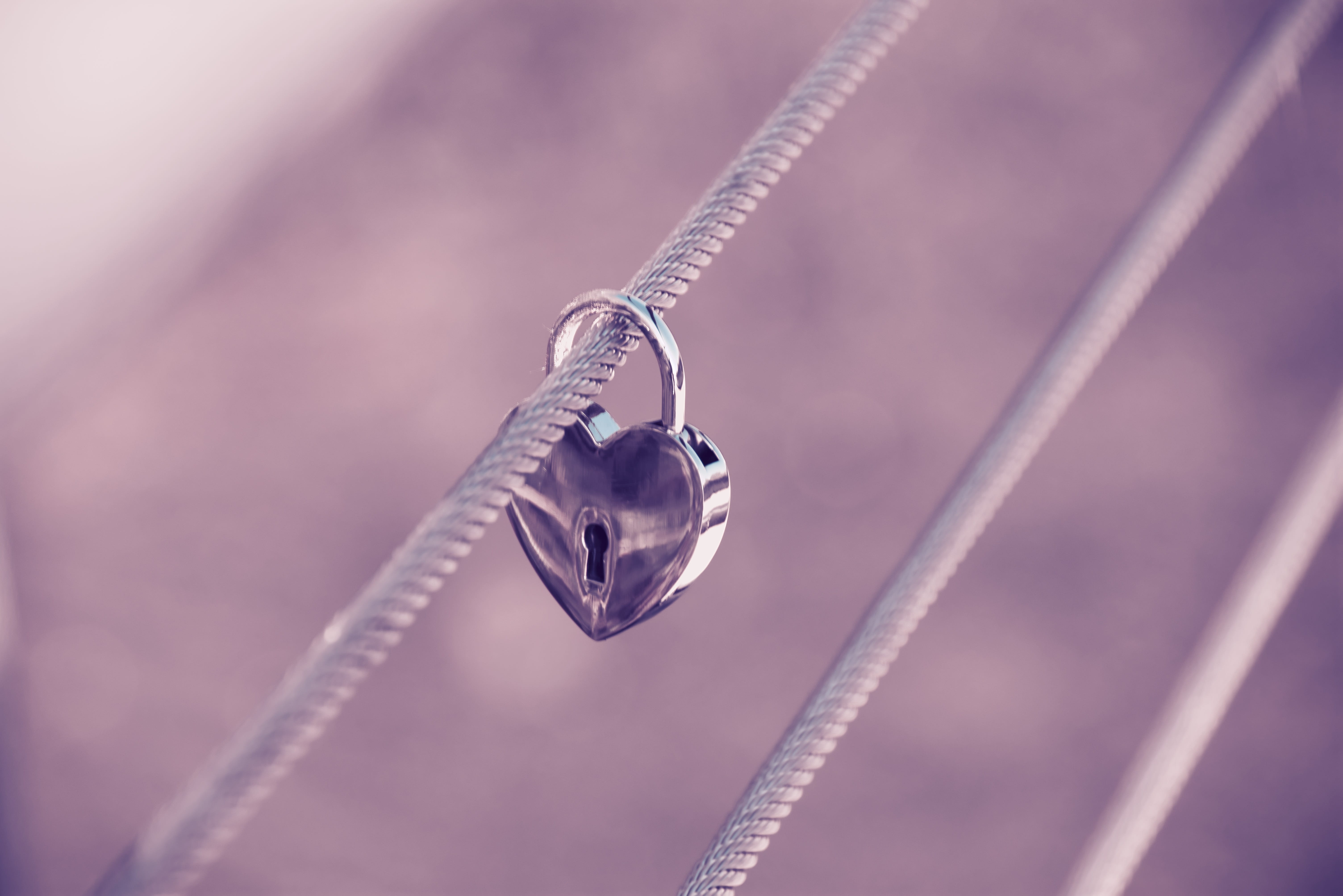 focus on foreground, lovelock, castle, connection, padlock, emotion, studio shot, love, personal accessory, positive emotion, love symbol, low angle view, HD Wallpaper