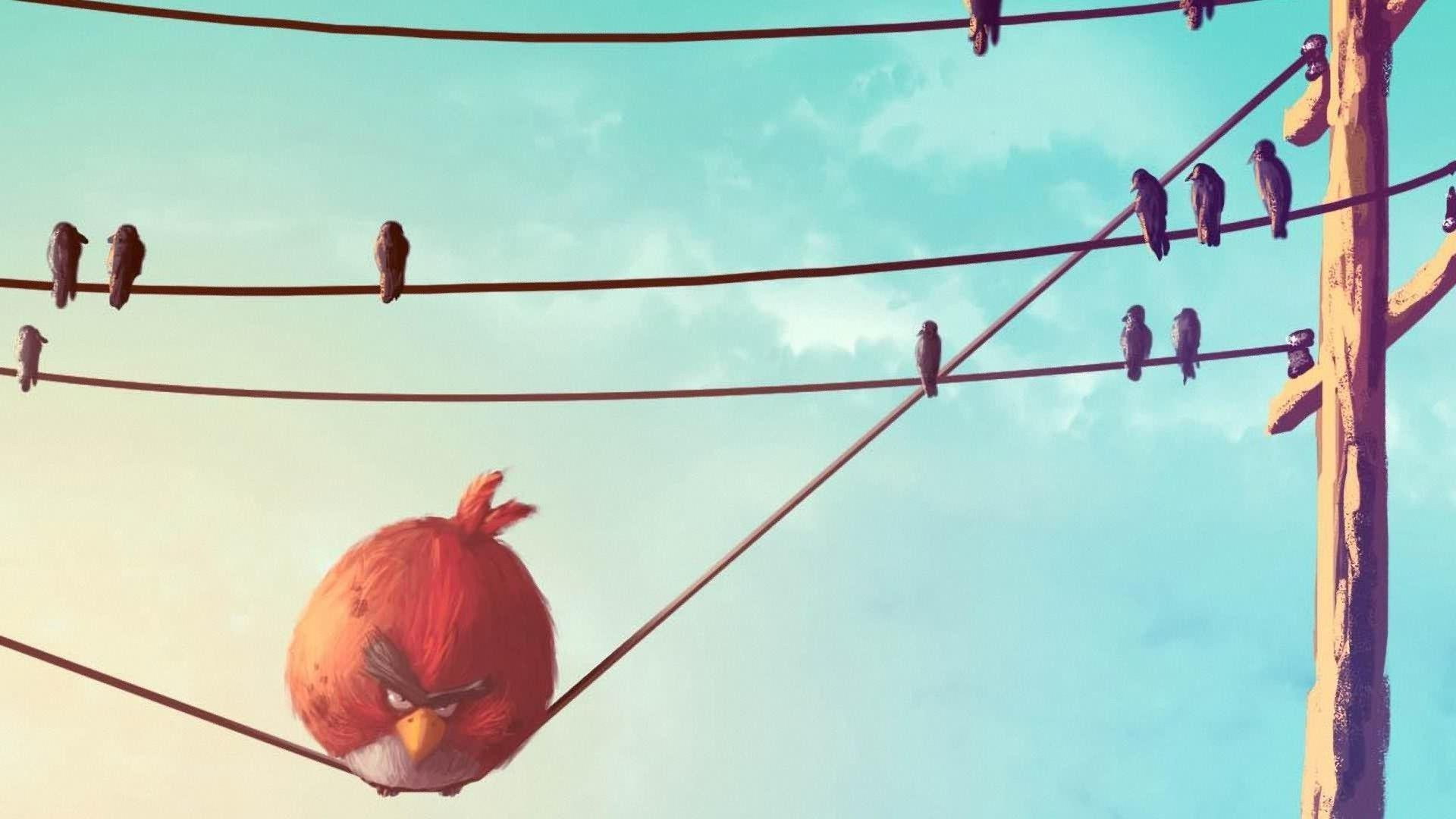 1080P, angry, bird, red, character, wire, funny, 1920x1080, angry bird, birds, HD Wallpaper