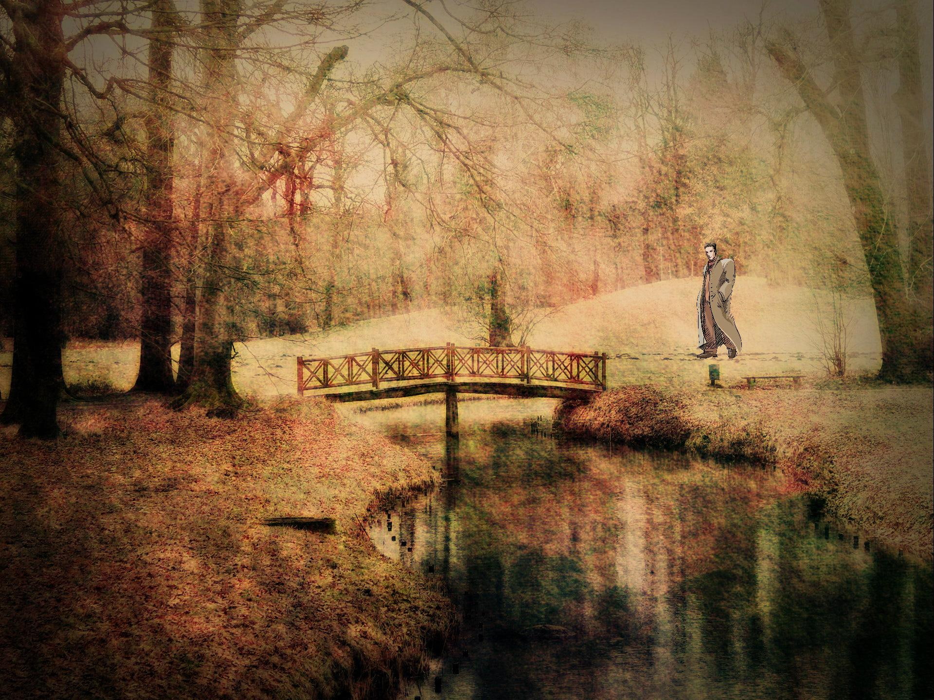 abstract, 1080P, autumnal, sentiments, autumn, park, fantasy, HD Wallpaper