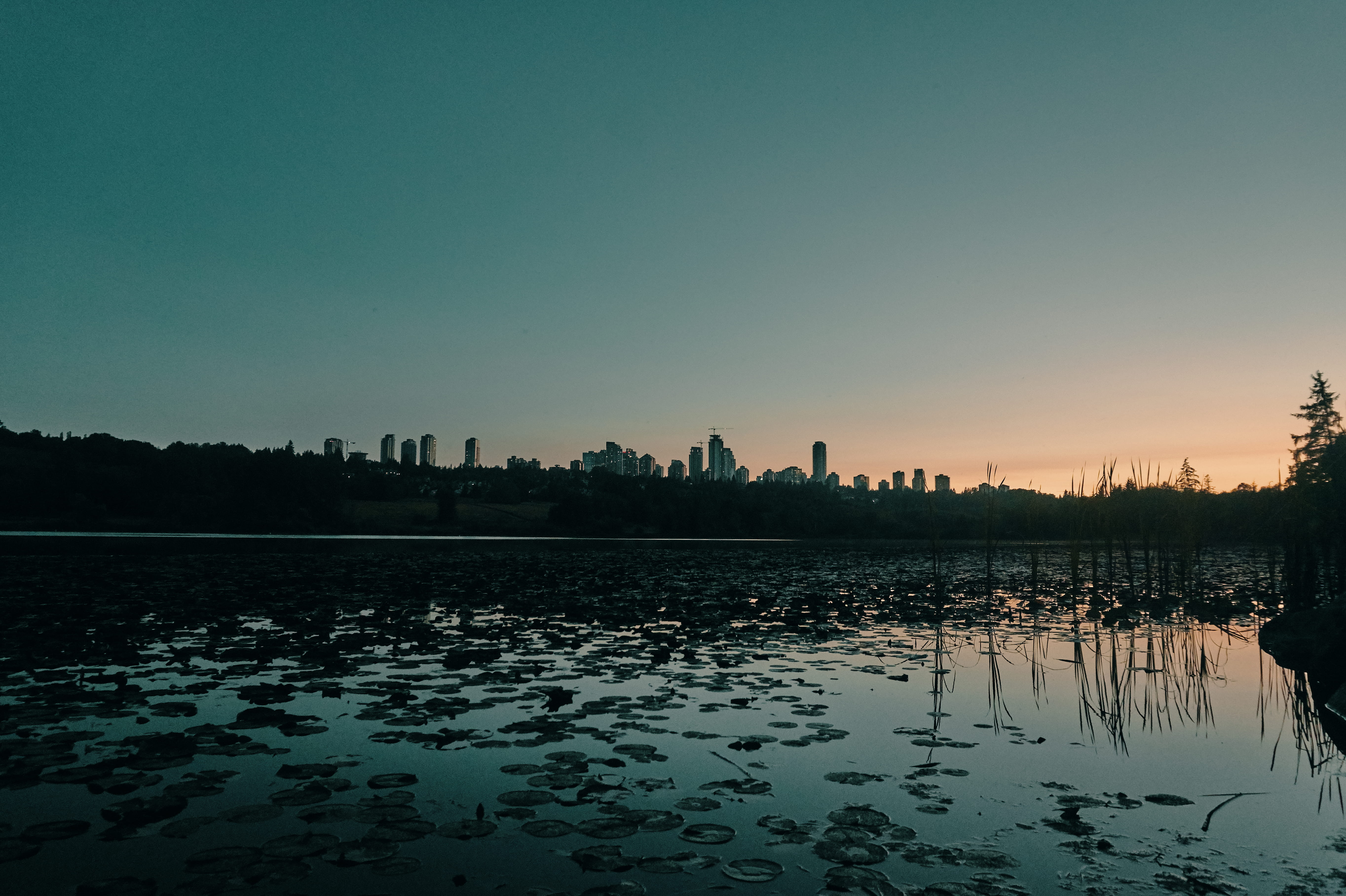 trees, copy space, waterfront, water, scenics - nature, tree, beauty in nature, urban, clear sky, silhouette, tranquil scene, sentimental, nature, reflection, HD Wallpaper