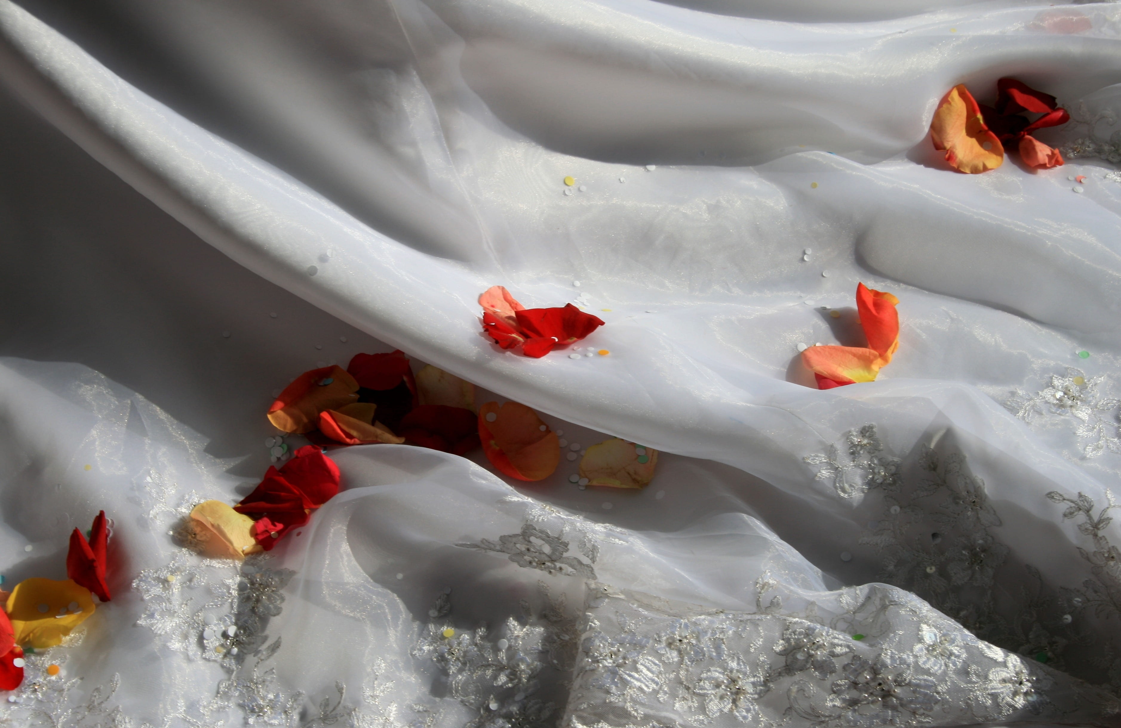 outdoors, orange color, white, romantic, red, motion, flower, day, leaf, luxurious, flowering plant, white color, beautiful wedding dress, close-up, rose petals, HD Wallpaper