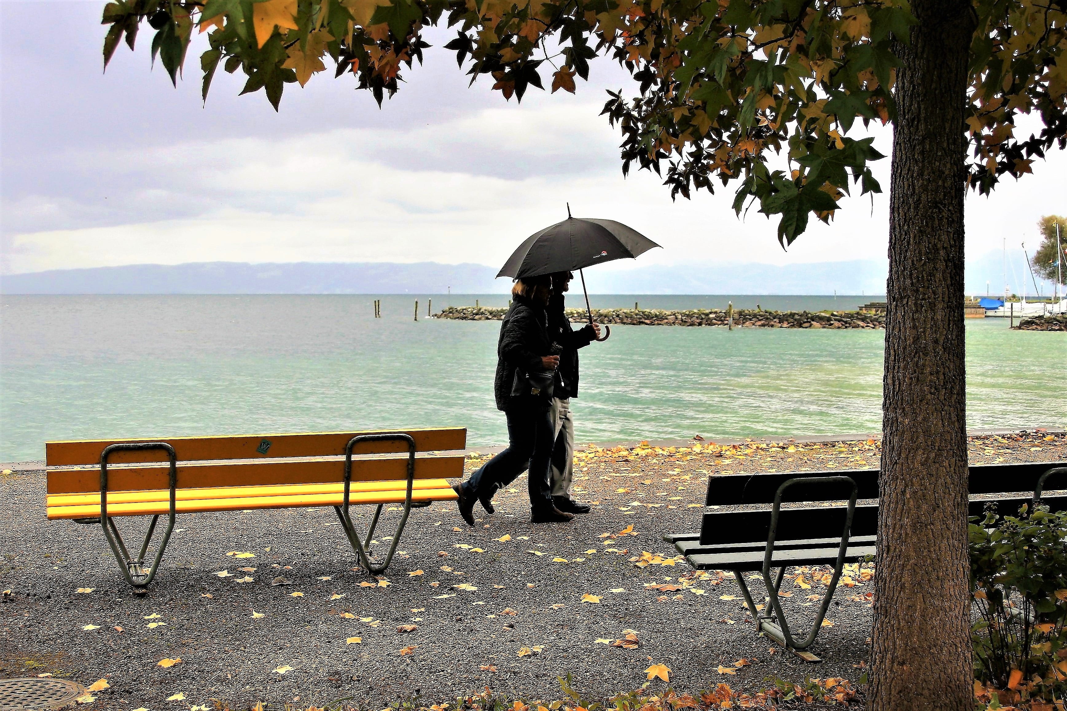 wind, outdoors, para, day, rest, morning, the silence, plant, daytime, tranquility, vanishing, peace of mind, rain, real people, park, colors of autumn, HD Wallpaper