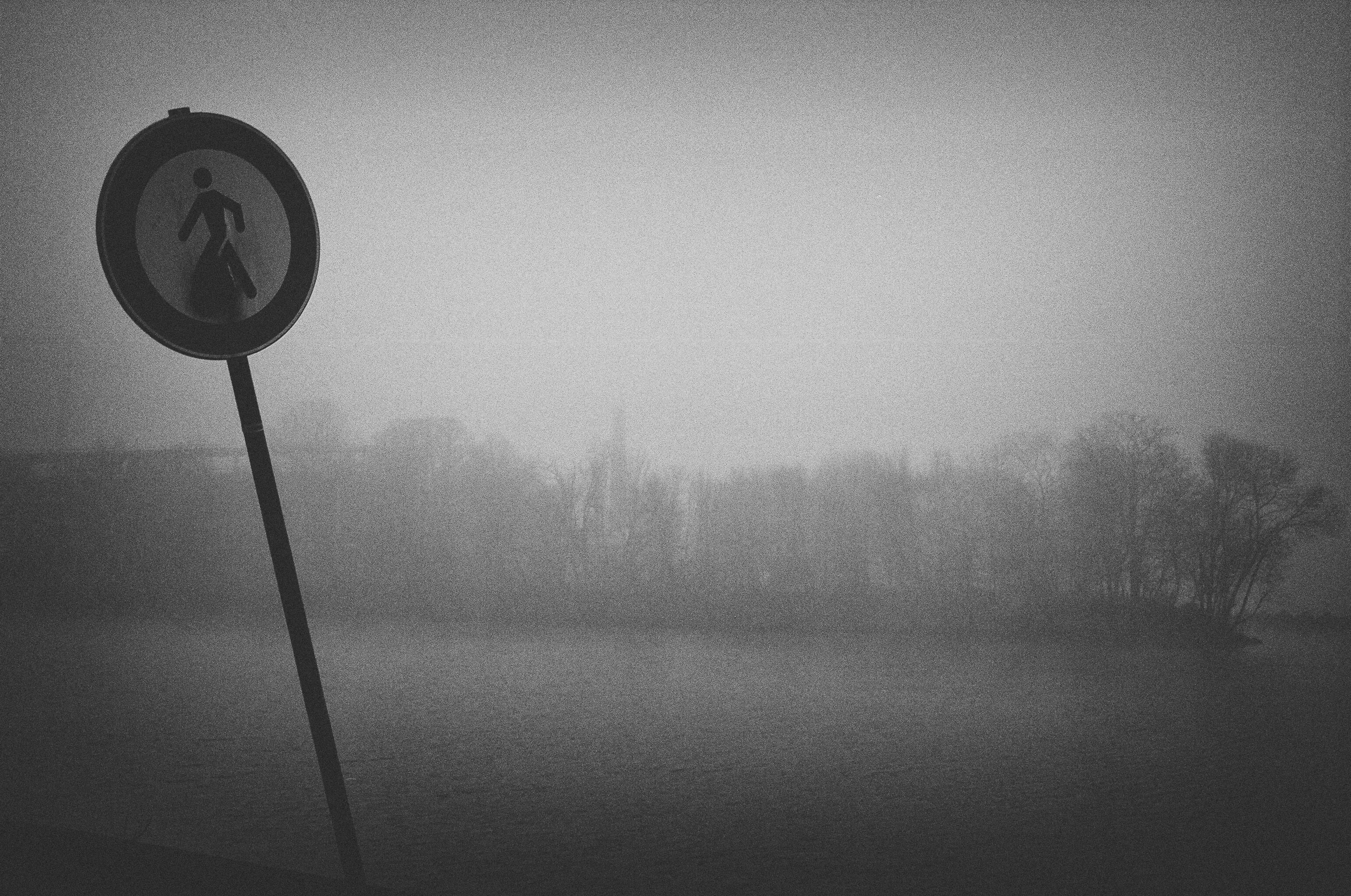 cold, autumn, rural, park, day, outdoors, no people, winter, river, foggy, rain, city, land, 2K, sky, walking, fall, beach, monochrome, dark, grainy, nature, HD Wallpaper