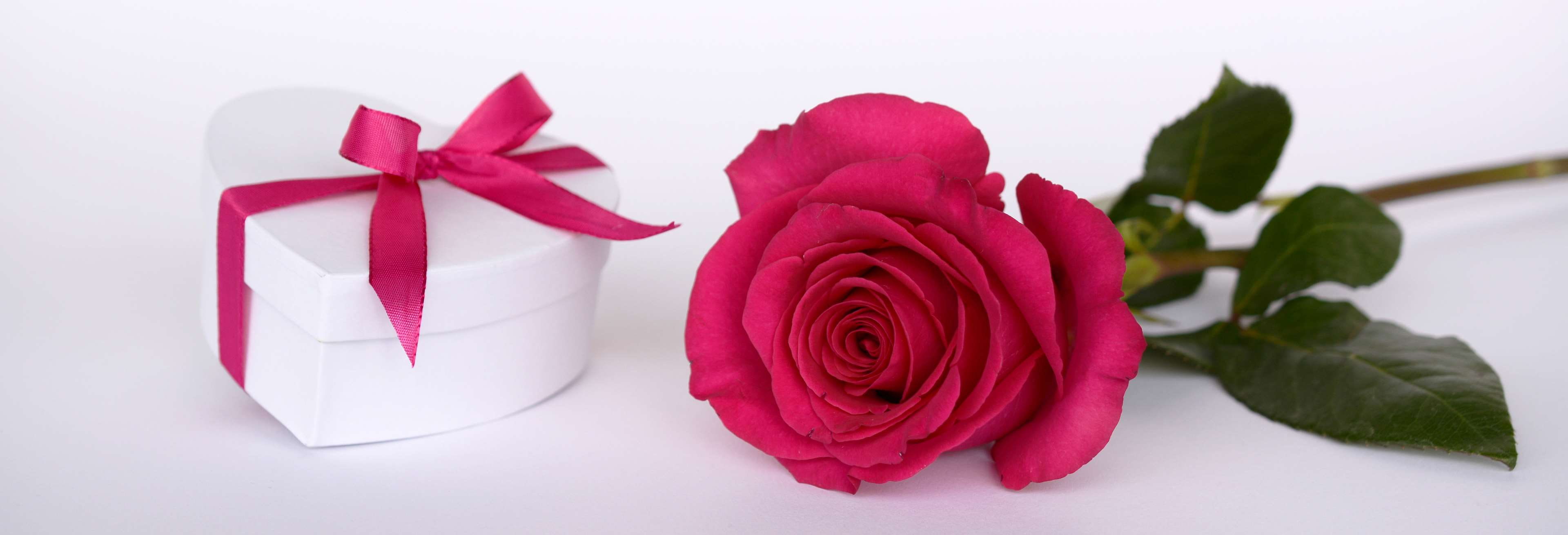 gift box, rosepink, valentines day, petal, blossom, valentines day - holiday, flowers, surprise, celebration, romantic, no people, bow, freshness, ribbon, HD Wallpaper