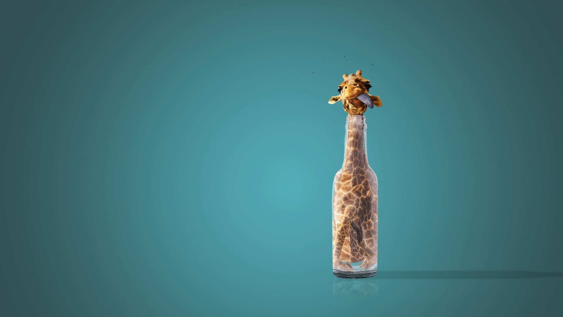 still life, animal, close-up, bottle, copy space, indoors, blue, colored background, humor, giraffe, decoration, 1080P, bottles, freshness, food, creativity, HD Wallpaper