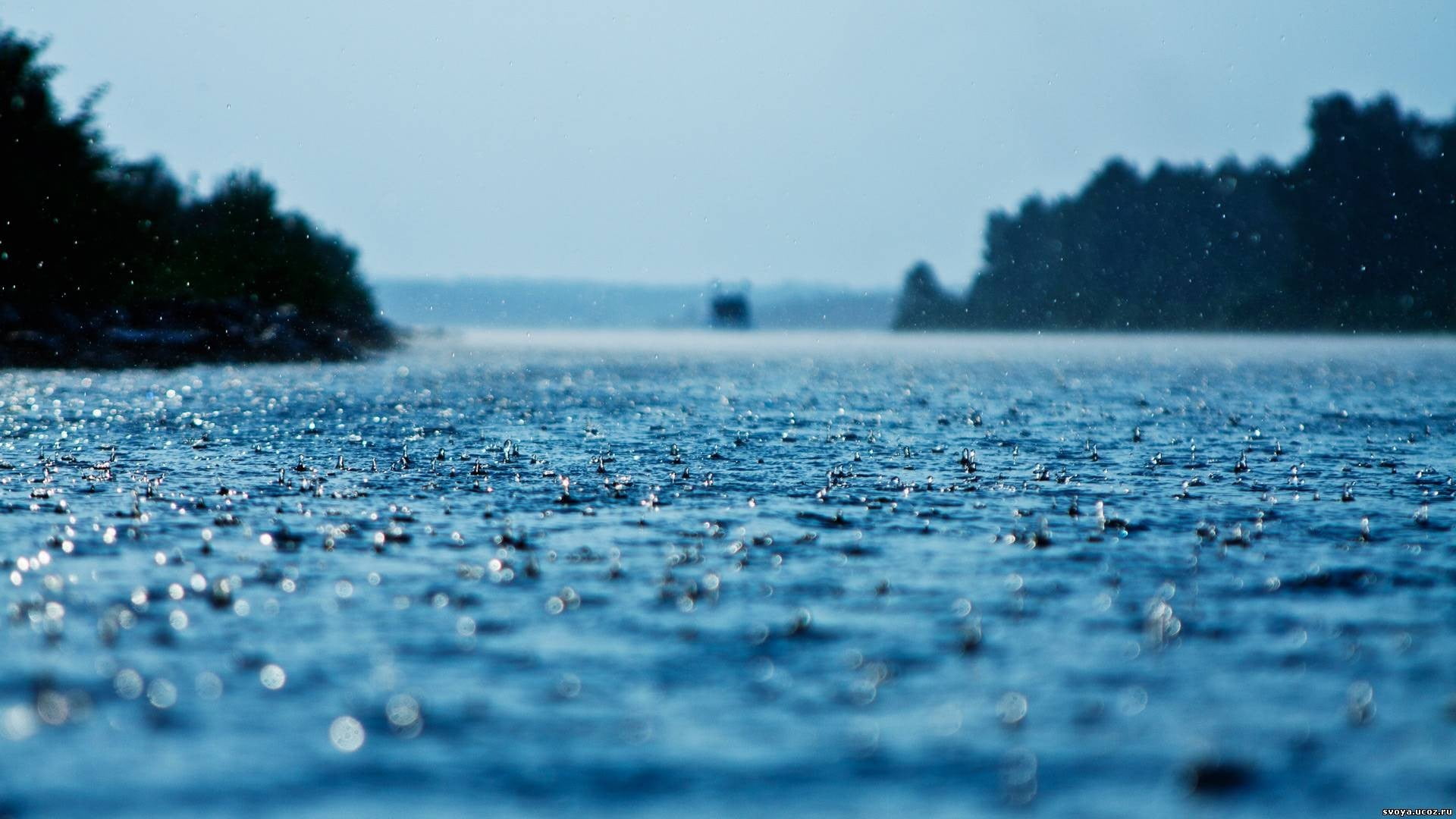scenics - nature, landscape, no people, 1080P, surface level, tree, clear sky, selective focus, lake, nature, beauty in nature, cold temperature, rain, HD Wallpaper