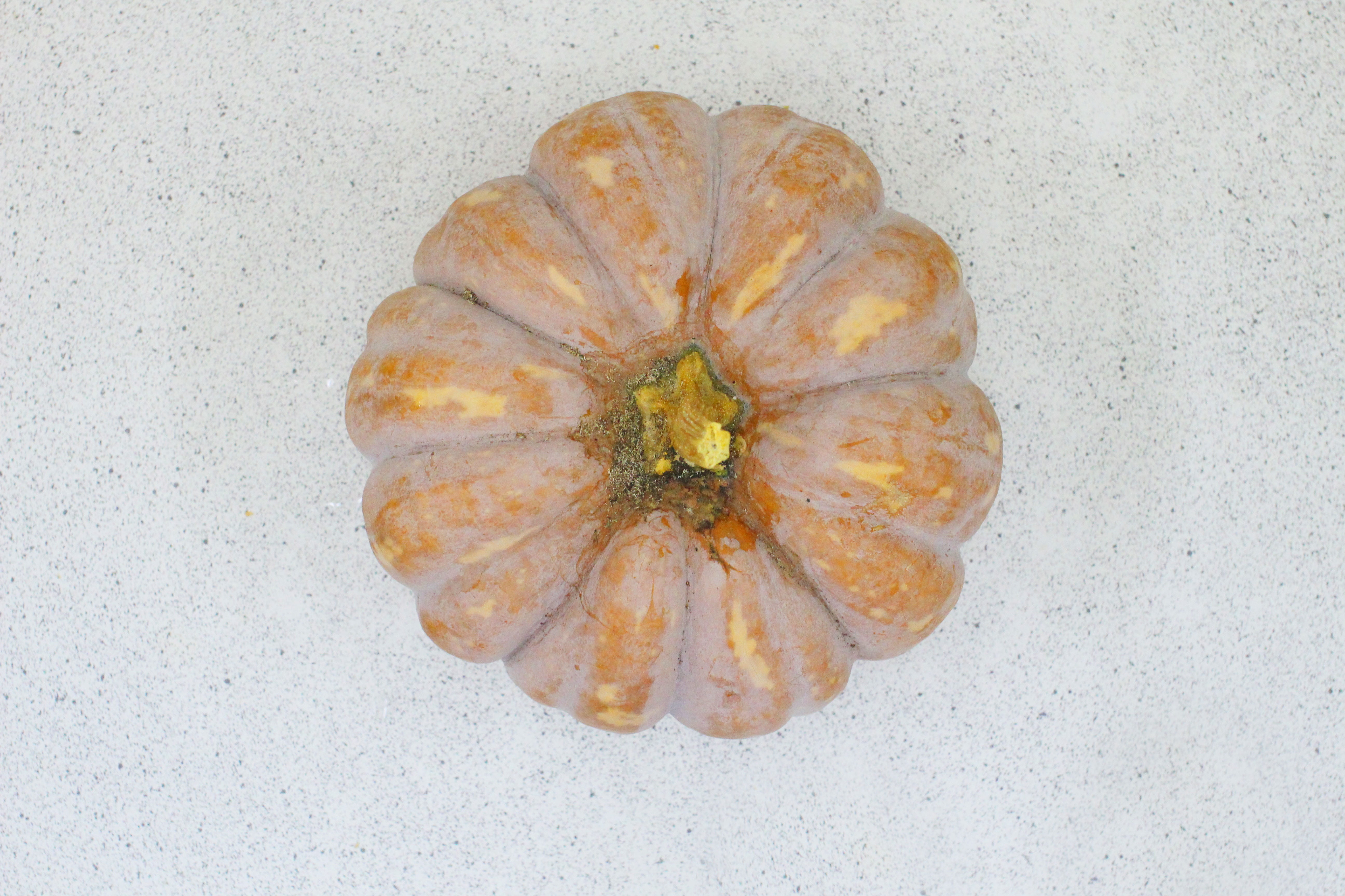 White, Pumpkin, directly above, pattern, food, outdoors, no people, flower, wellbeing, studio shot, high angle view, close-up, healthy eating, food and drink, HD Wallpaper