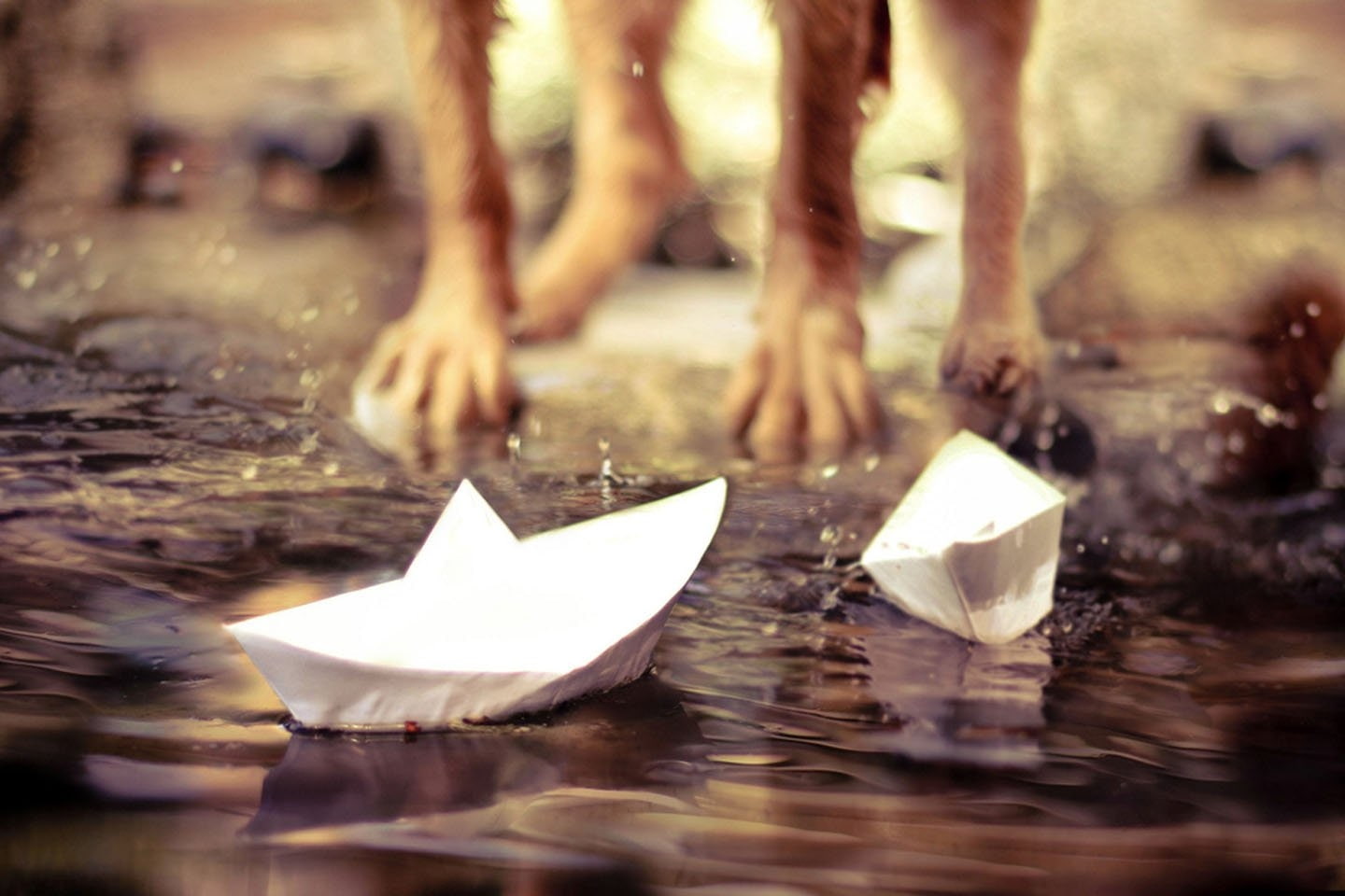 low section, people, paper, day, waterfront, Nature, body part, outdoors, close-up, reflection, water, motion, paper boat, floating, selective focus, human body part, HD Wallpaper