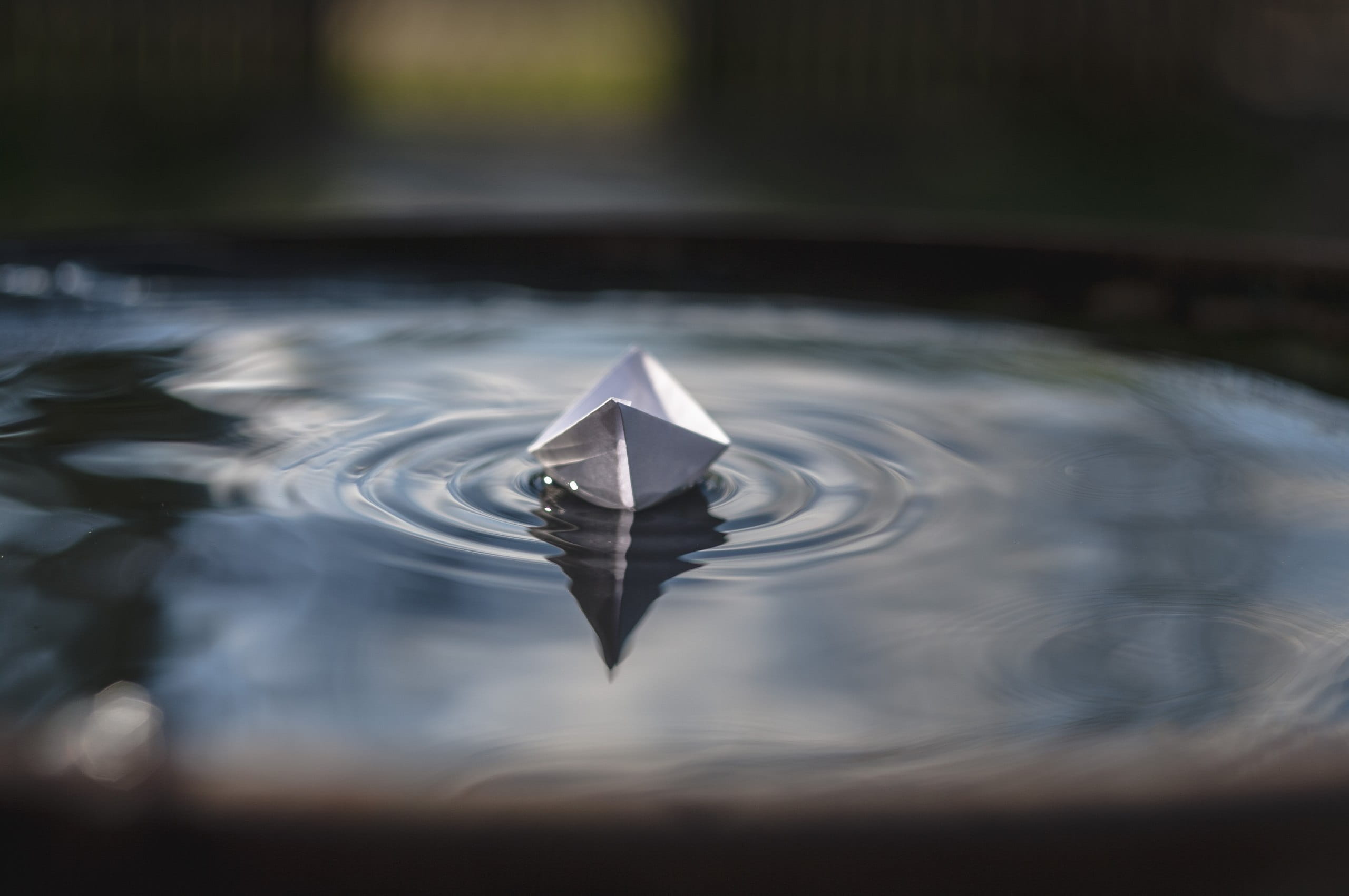 2K, transparent, close-up, waterfront, water, no people, focus on foreground, rippled, paper, blur, fragility, lake, floating, nature, vulnerability, reflection, HD Wallpaper