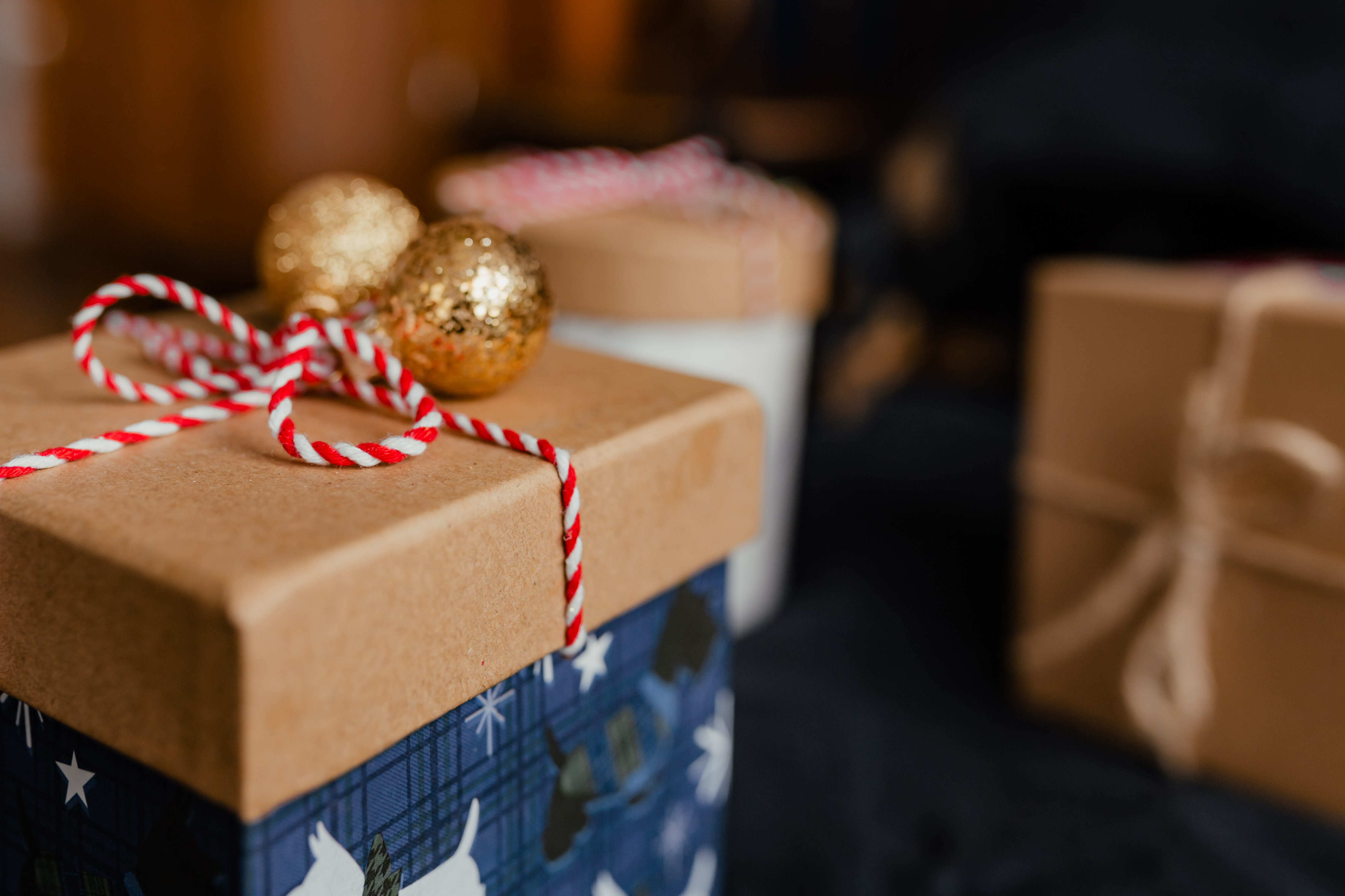 package, cute, little, december, wrapping paper, holiday, christmas ornament, christmas, no people, cute dog, 4K, puppy, bed, present, black, paper, gift box, HD Wallpaper