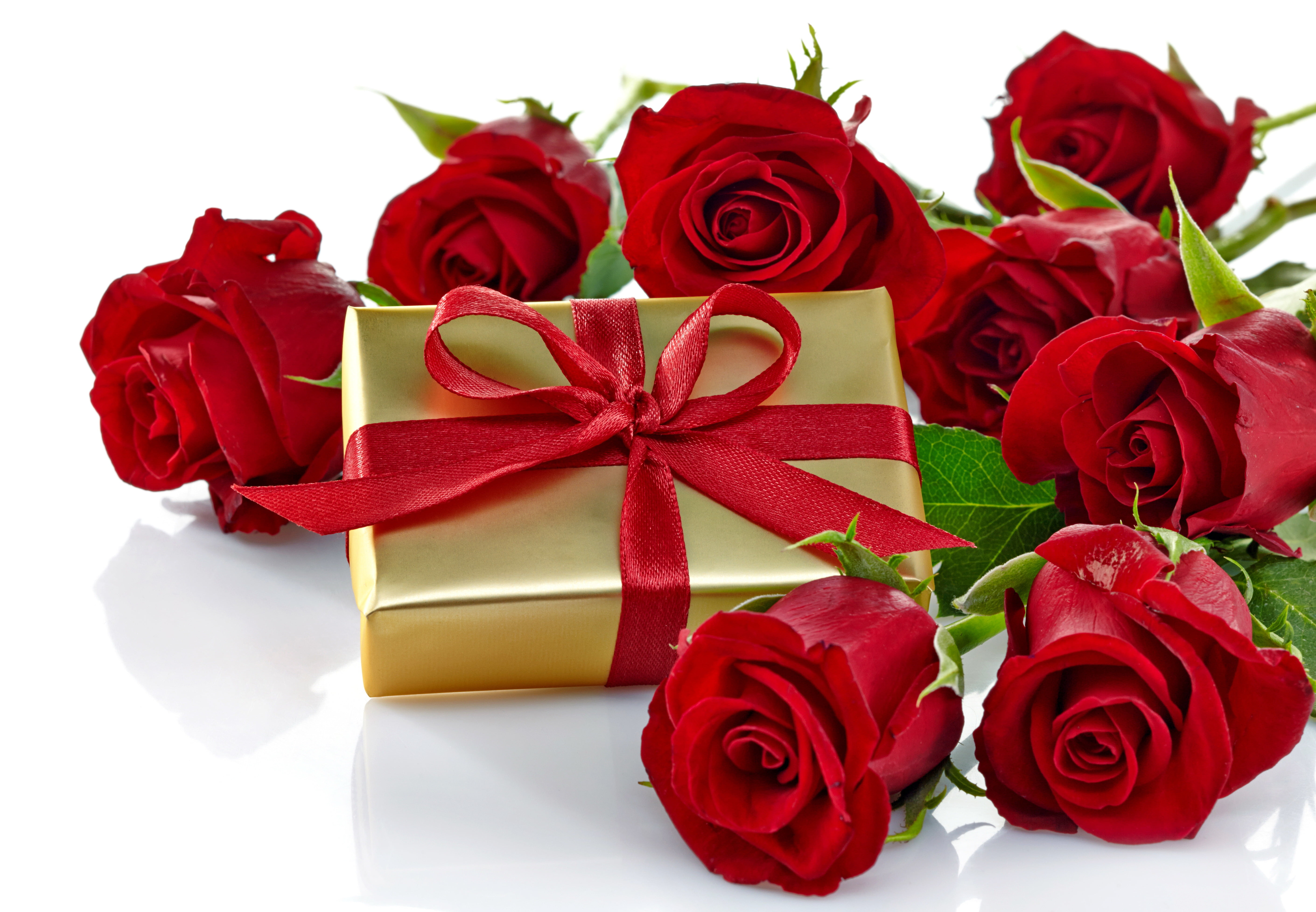 positive emotion, ribbon, backgrounds, tied bow, close-up, Valentines Day, beauty in nature, petal, bow, white background, flowering plant, gift box, white, HD Wallpaper