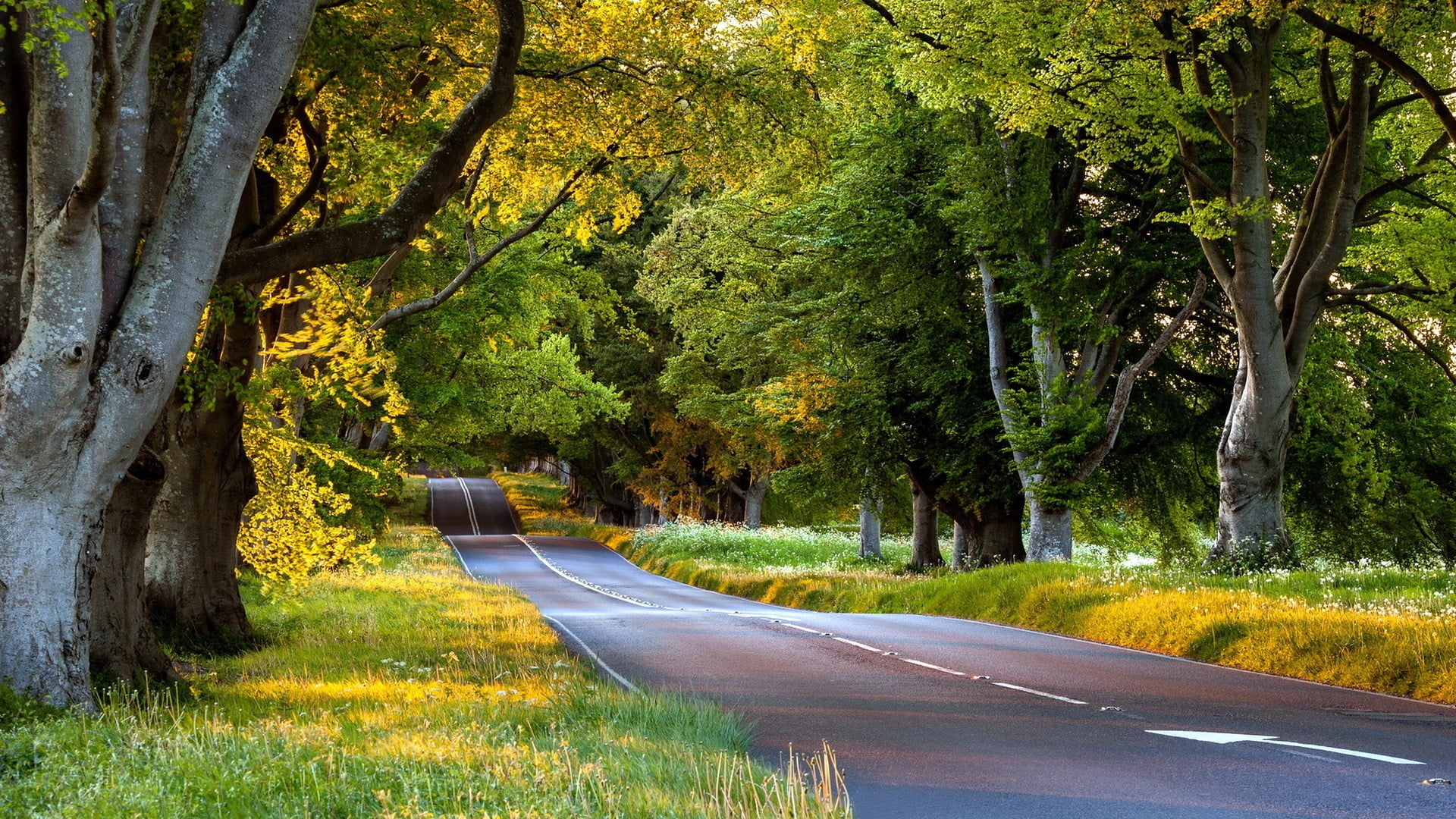 nature, blue, green, road, 1080P, boat, inflatable, HD Wallpaper