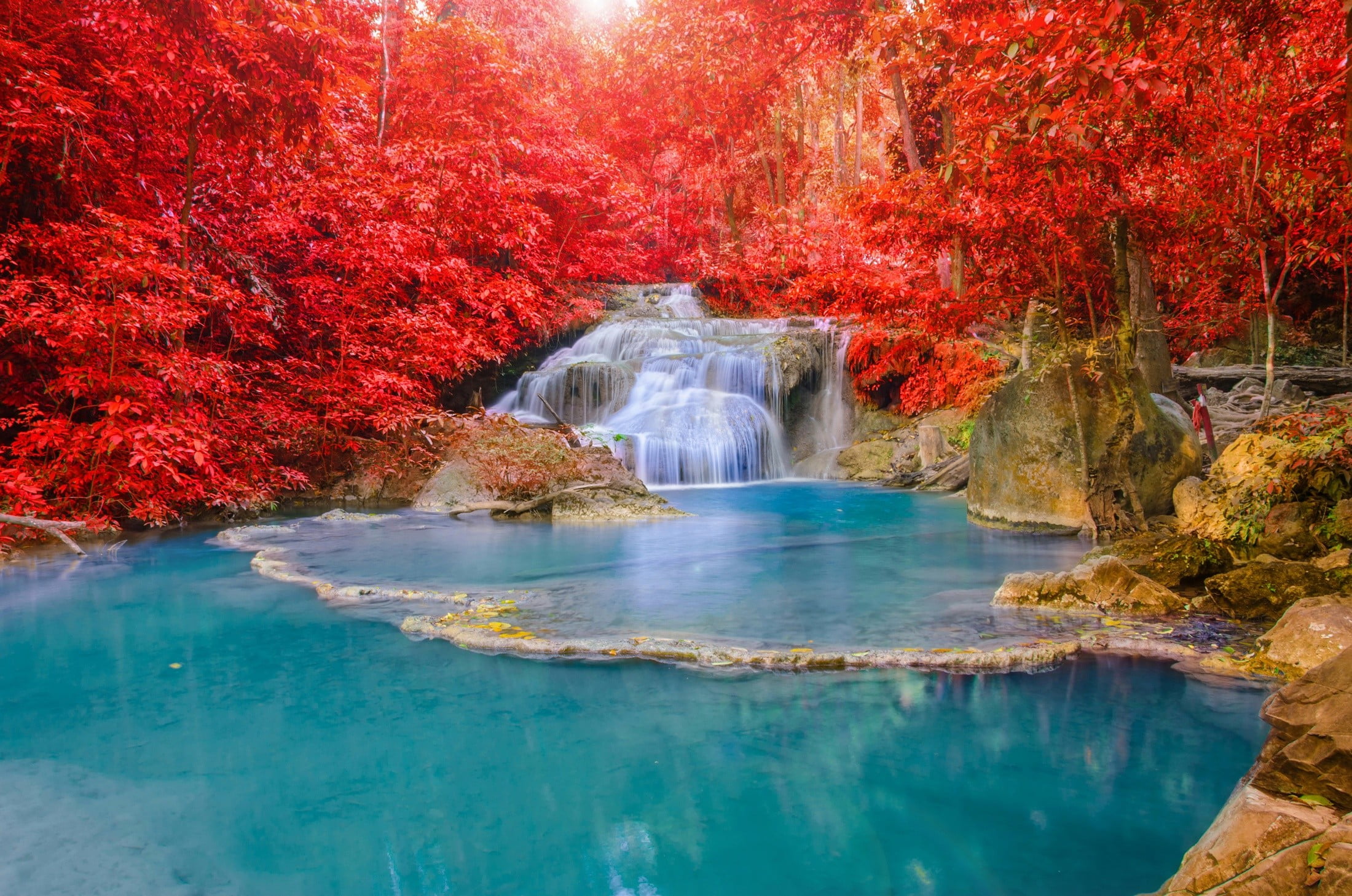 nature, plant, waterfall, forest, beauty in nature, pool, red, autumn, water, change, 1080P, tranquil scene, non-urban scene, scenics - nature, tranquility, HD Wallpaper