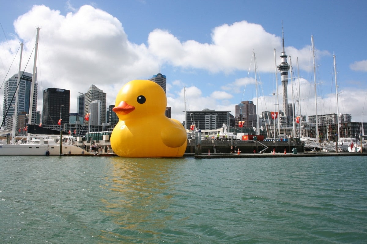 480P, x, inflatable, artwork, giant, art, ducks, rubber, hd, animals, HD Wallpaper
