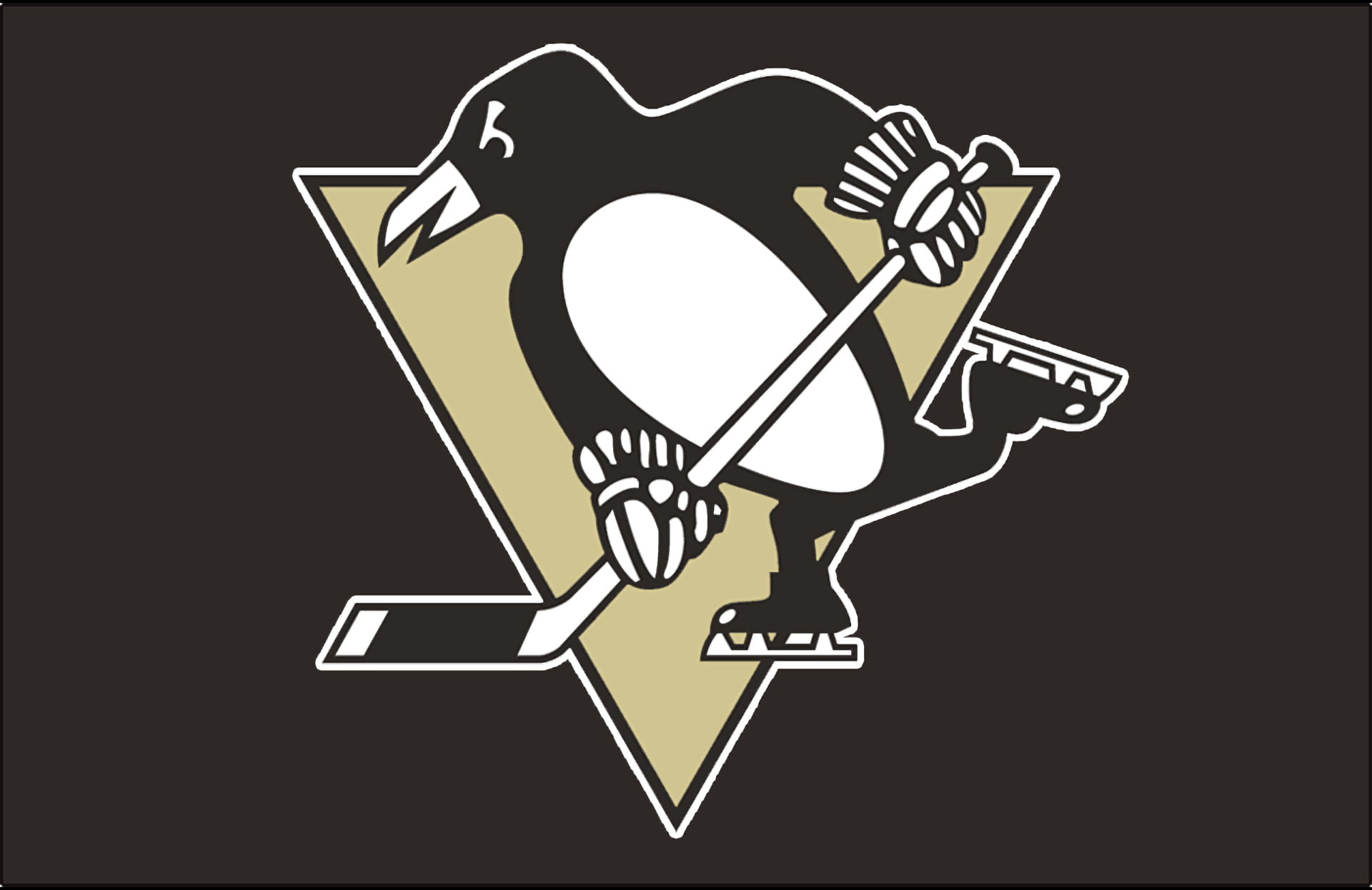 Hockey, 1080P, Pittsburgh Penguins, HD Wallpaper