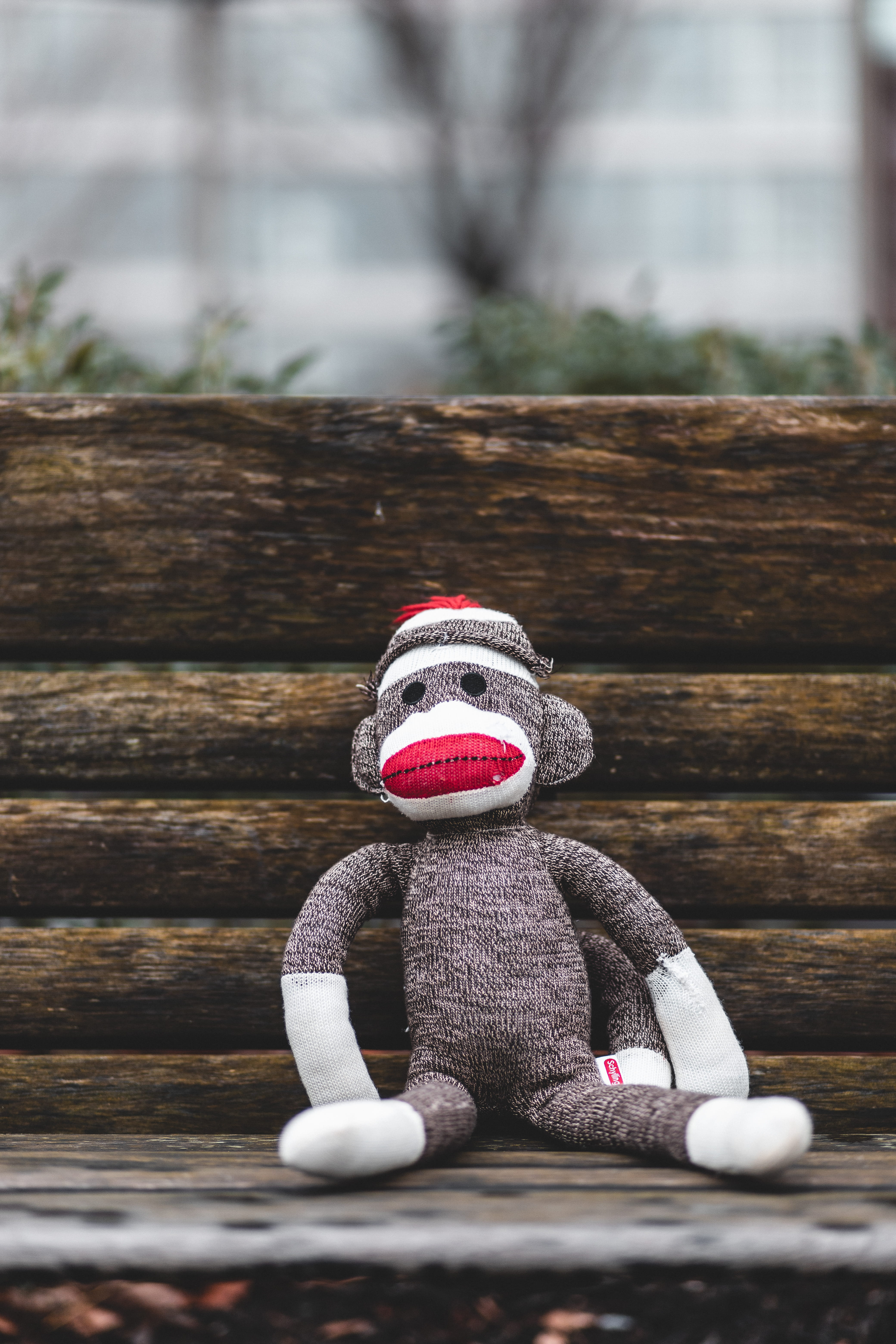 hardwood, shelf, sitting, 5K, winter, bench, gray, space, drink, beverage, clothing, alcohol, handrail, doll, banister, monkey, human representation, male likeness, Phone HD Wallpaper