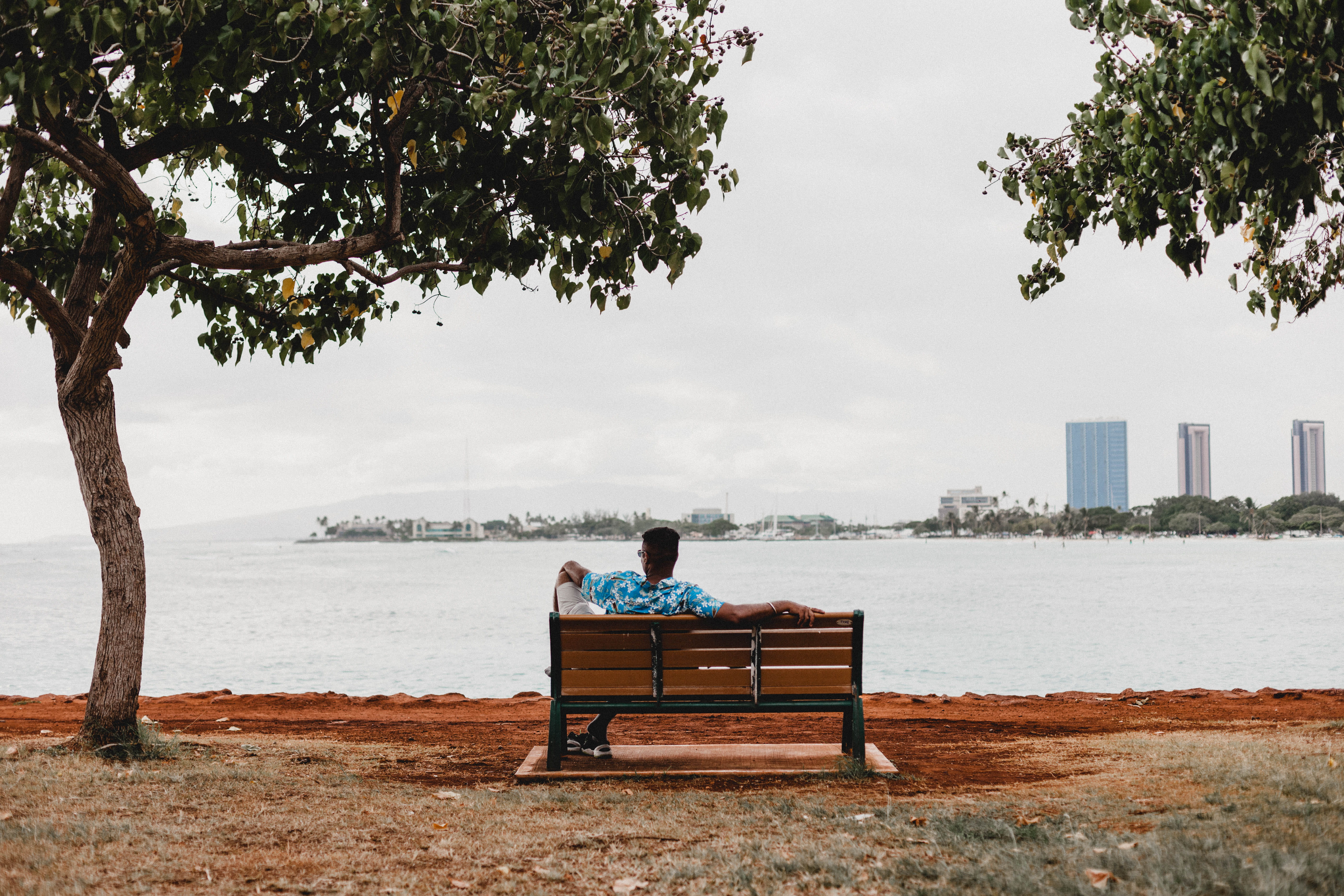 plant, men, calm, person, sky, outdoors, clothing, tree, day, facing, man, bench, park bench, looking at view, honolulu, built structure, seat, sitting, HD Wallpaper