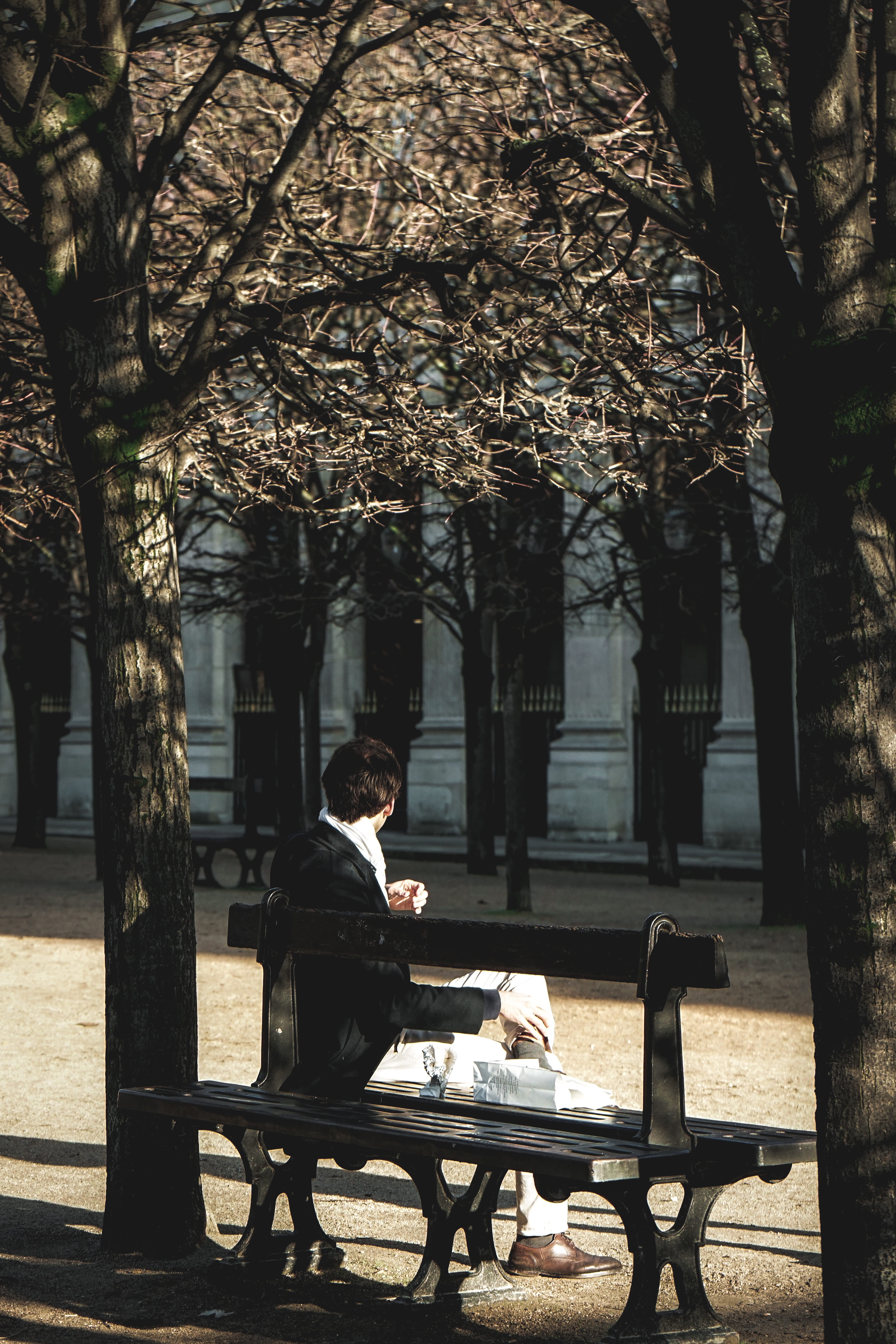 plant, seat, sleeve, person, apparel, suit, coat, tree, lifestyles, park, day, one person, nature, pavement, banister, men, sidewalk, bench, path, outdoors, Phone HD Wallpaper