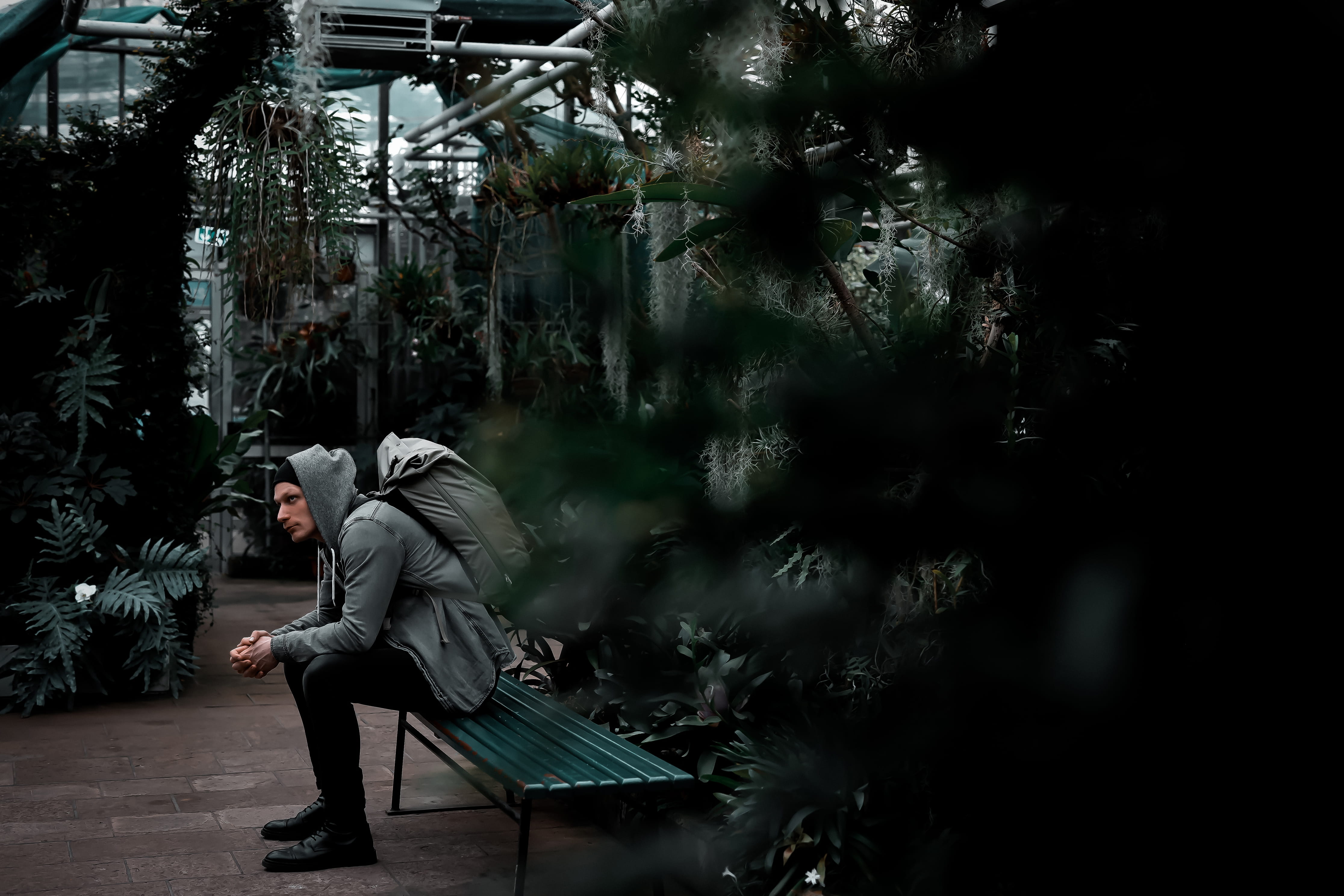 young adult, plant, growth, shoe, apparel, footwear, sitting, adult, contemplation, casual clothing, greenhouse, person, tree, seat, clothing, photography, HD Wallpaper