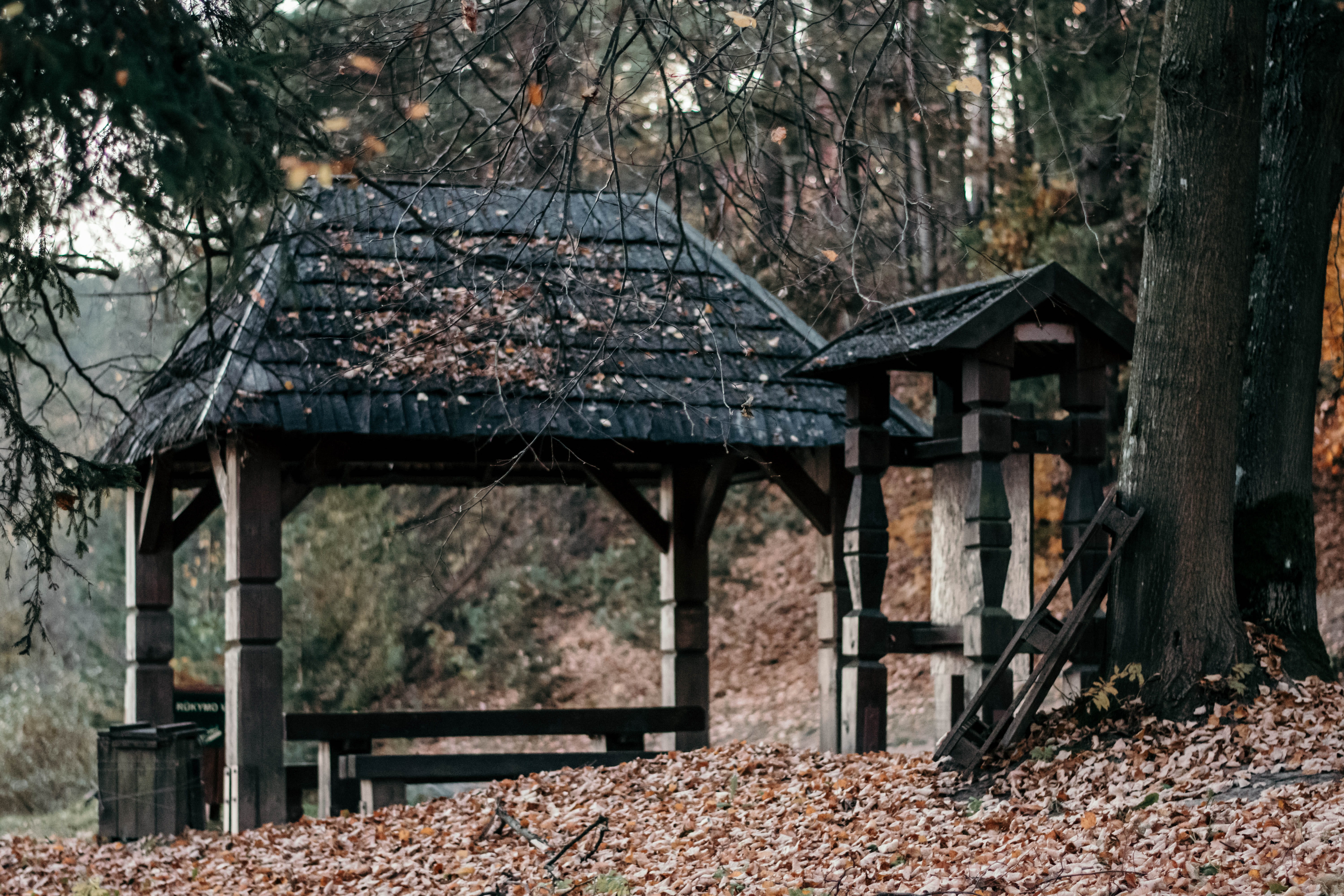 patio, woodland, leaves, near, sheds, architecture, autumn, road, house, plant part, gray, arbour, tree, no people, wood - material, fall, change, nature, HD Wallpaper