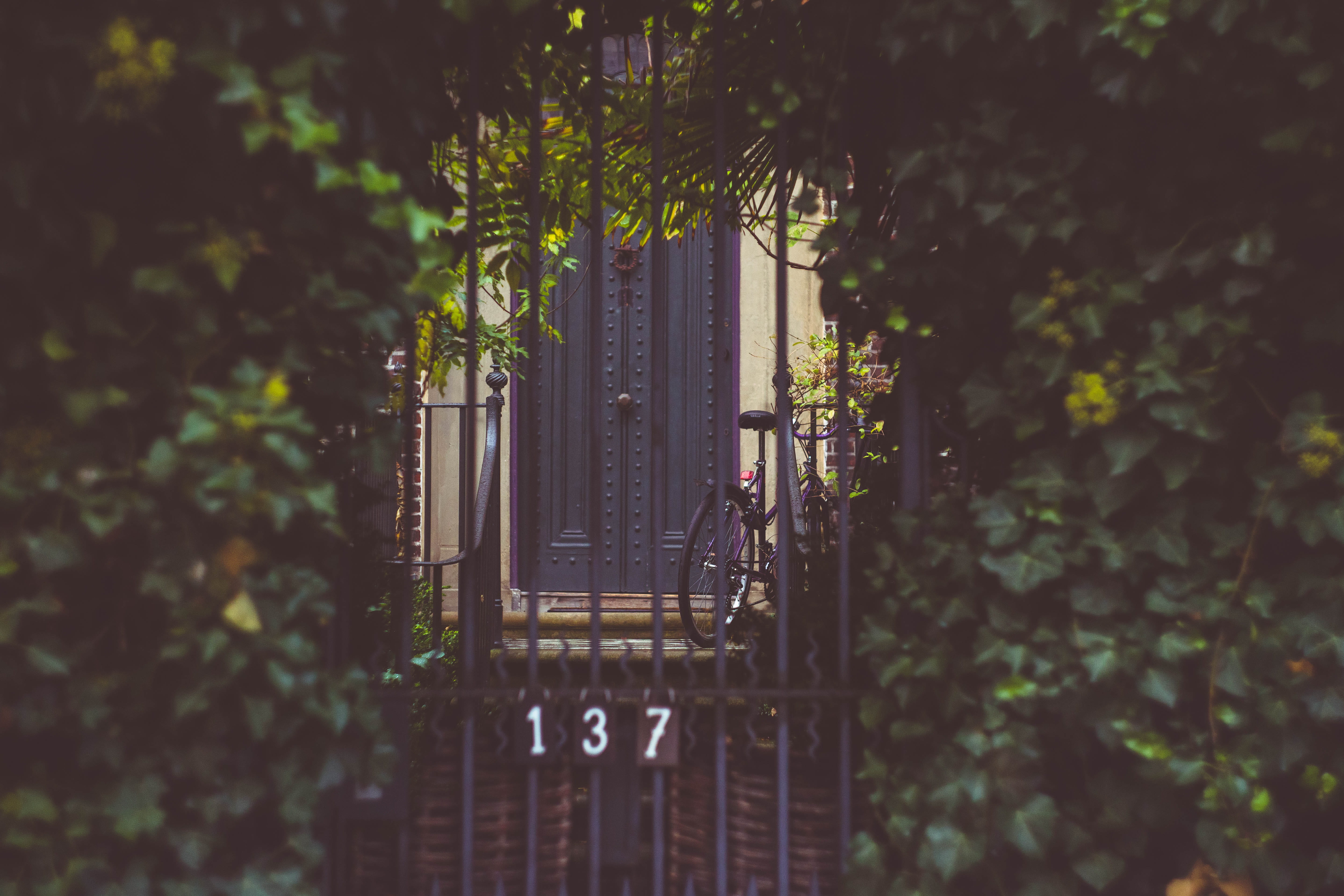 architecture, vehicle, ivy, house, near, black, building exterior, outdoors, porch, metal, door, selective focus, patio, window, low angle view, plant, HD Wallpaper