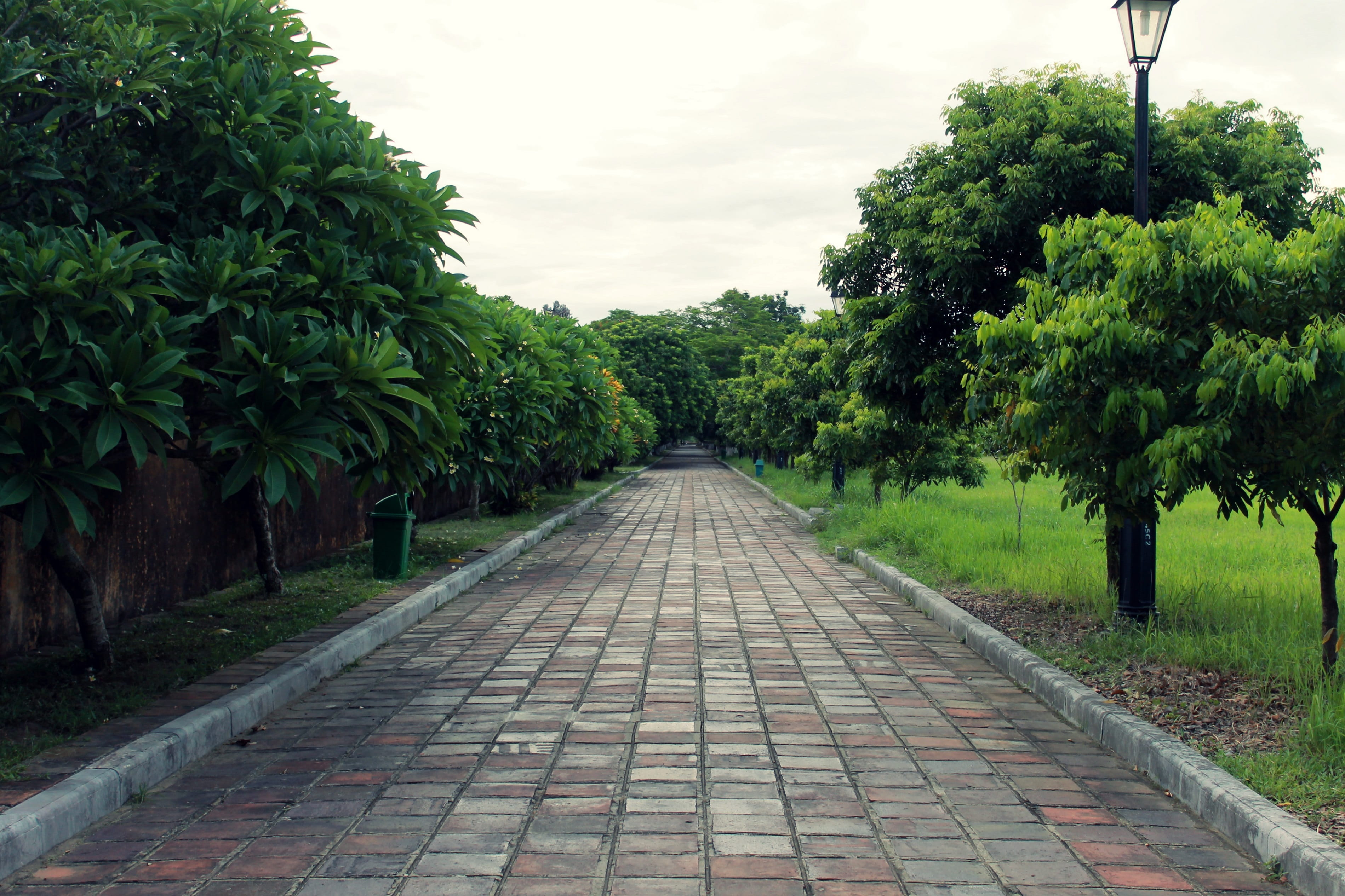 no people, the way forward, tranquility, trail, cobblestone, direction, growth, vietnam, footpath, open road, hue, trees, nature, patio, paving stone, pergola, HD Wallpaper