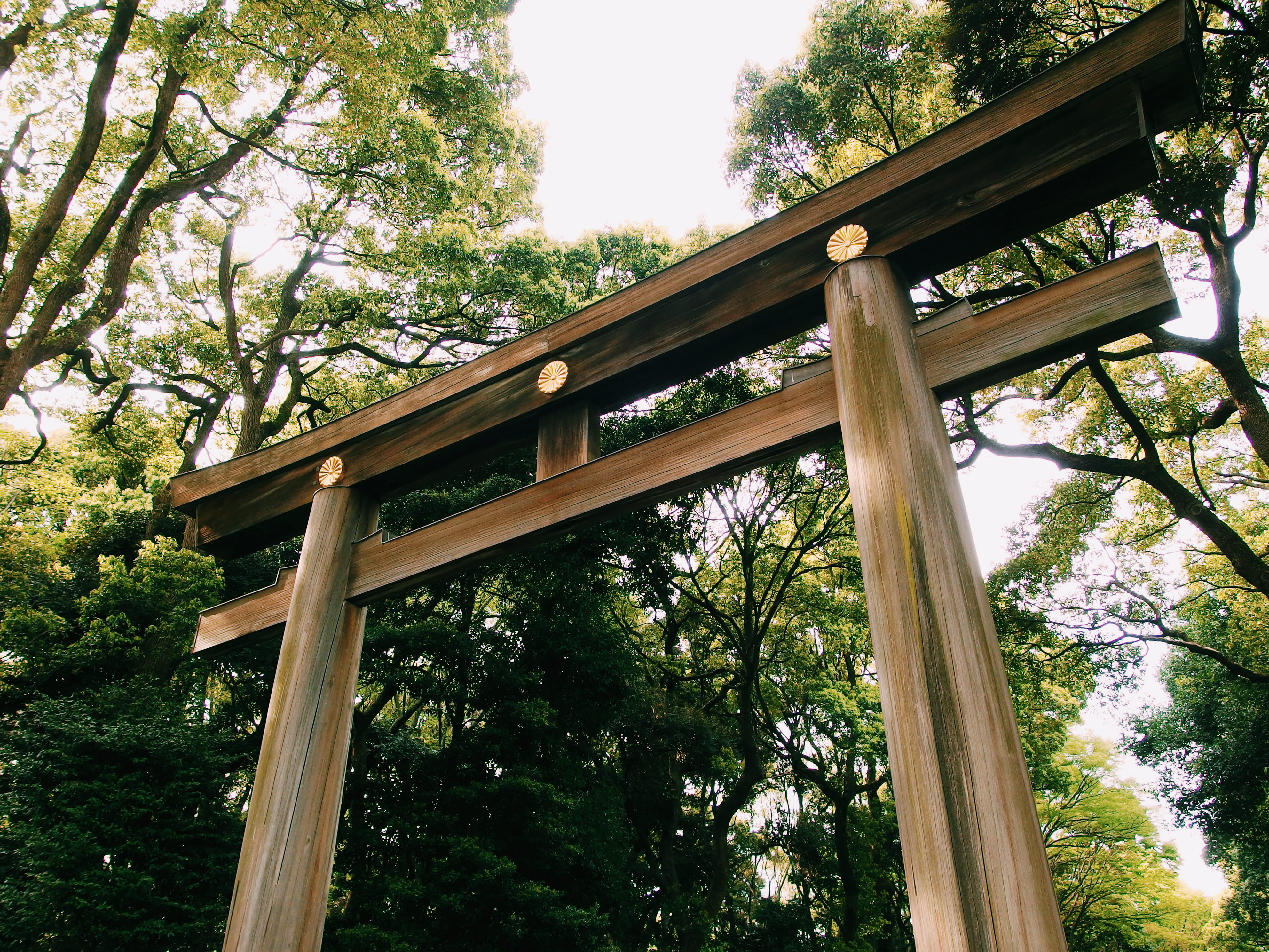 connection, bridge, arc, wooden, brown, no people, garden, land, patio, bridge - man made structure, park, forest, green color, worship, wood - material, HD Wallpaper