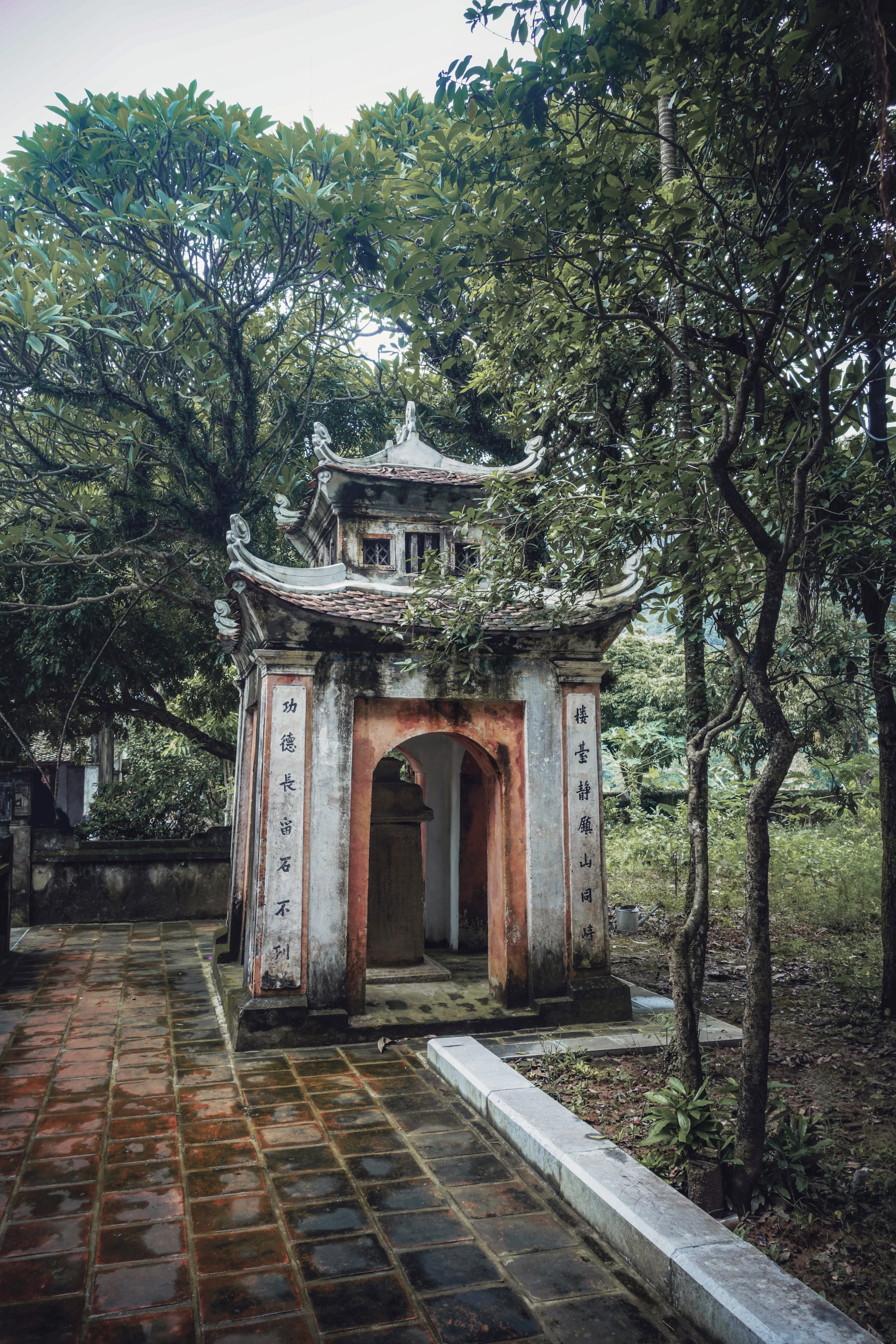 gazebo, pergola, shrine, temple, worship, pagoda, daytime, building exterior, nature, growth, garden, concrete, outdoors, no people, 5K, path, the past, Phone HD Wallpaper
